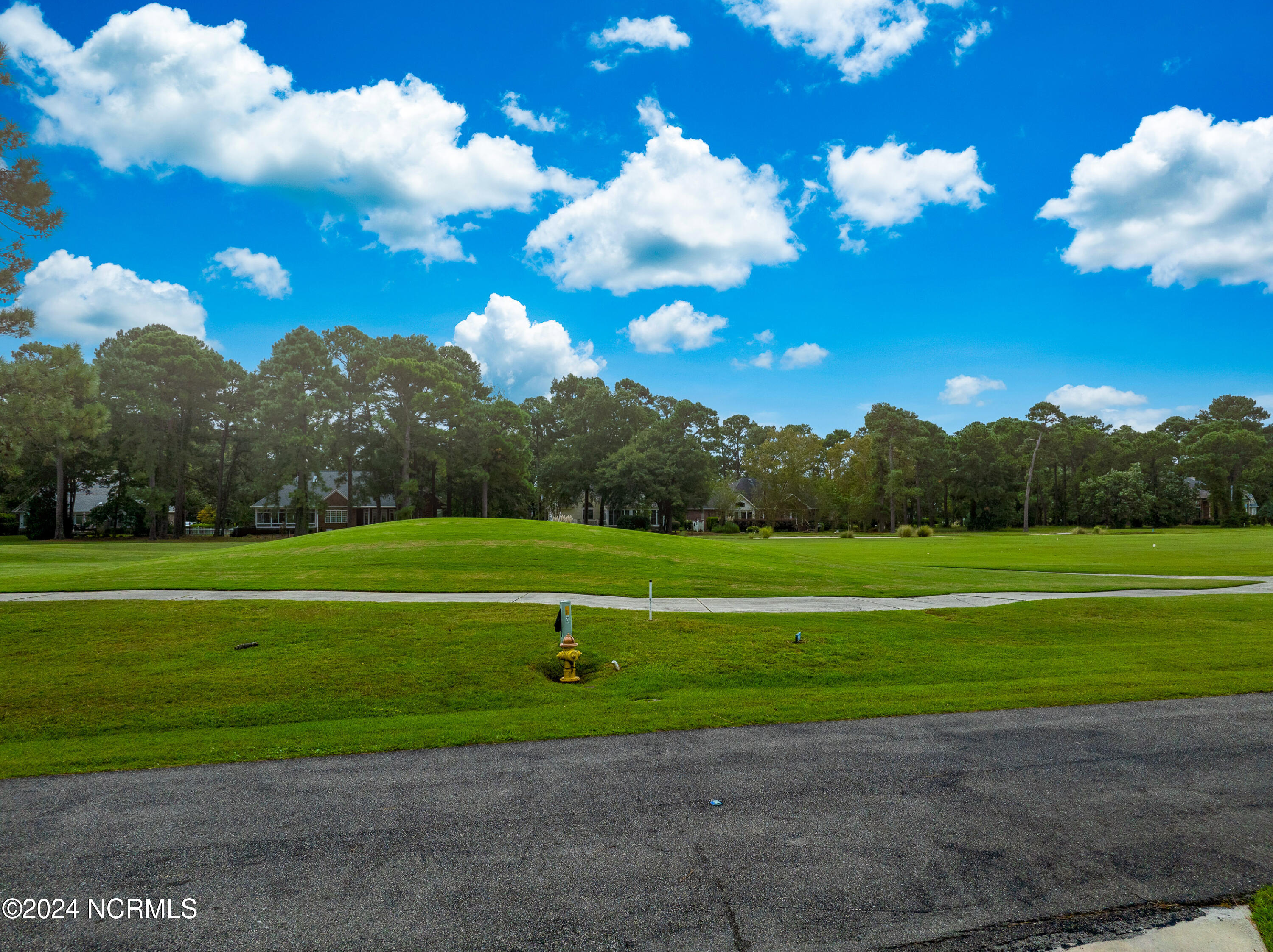 100499709 | Photo 59