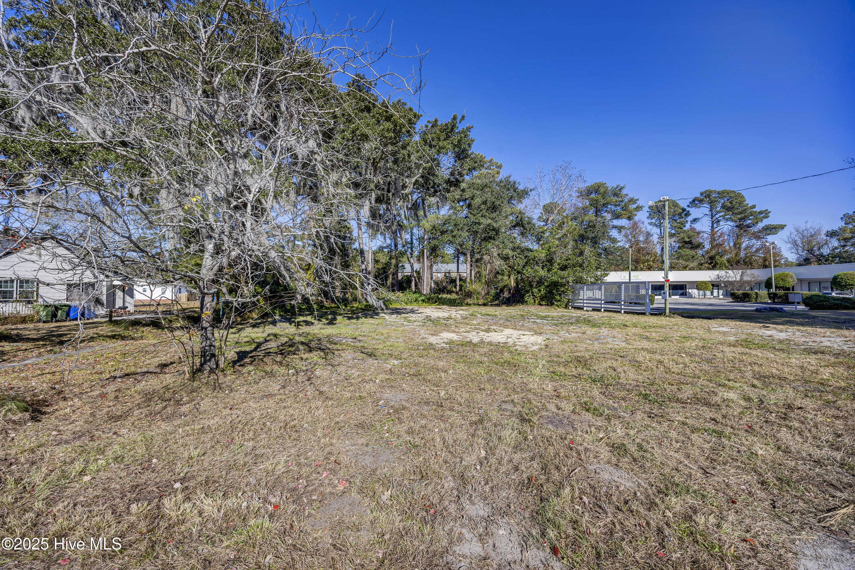 100545529 | Photo 14