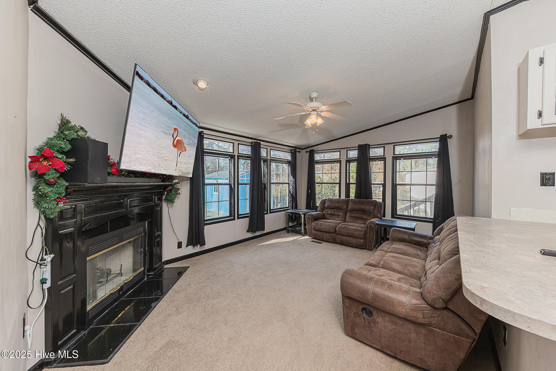 100546784 | Photo 23