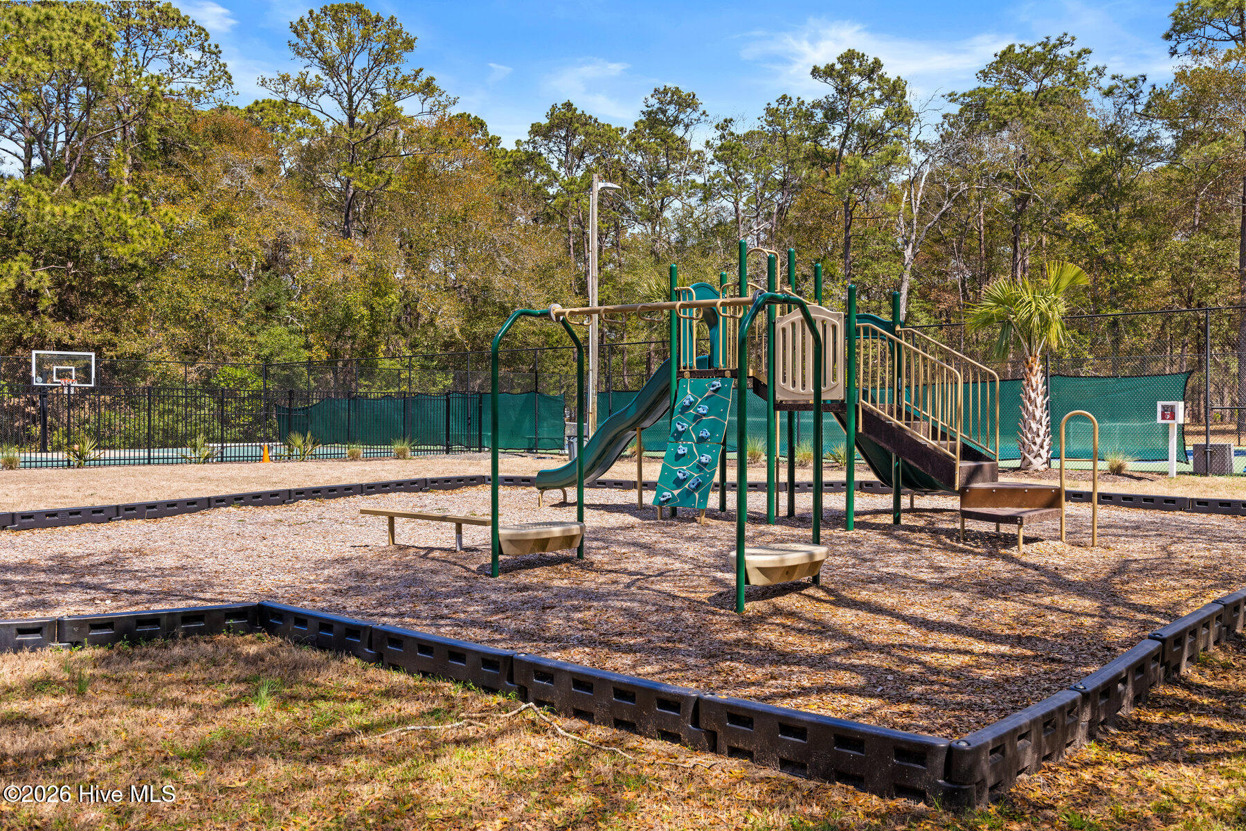 100547526 | Photo 51