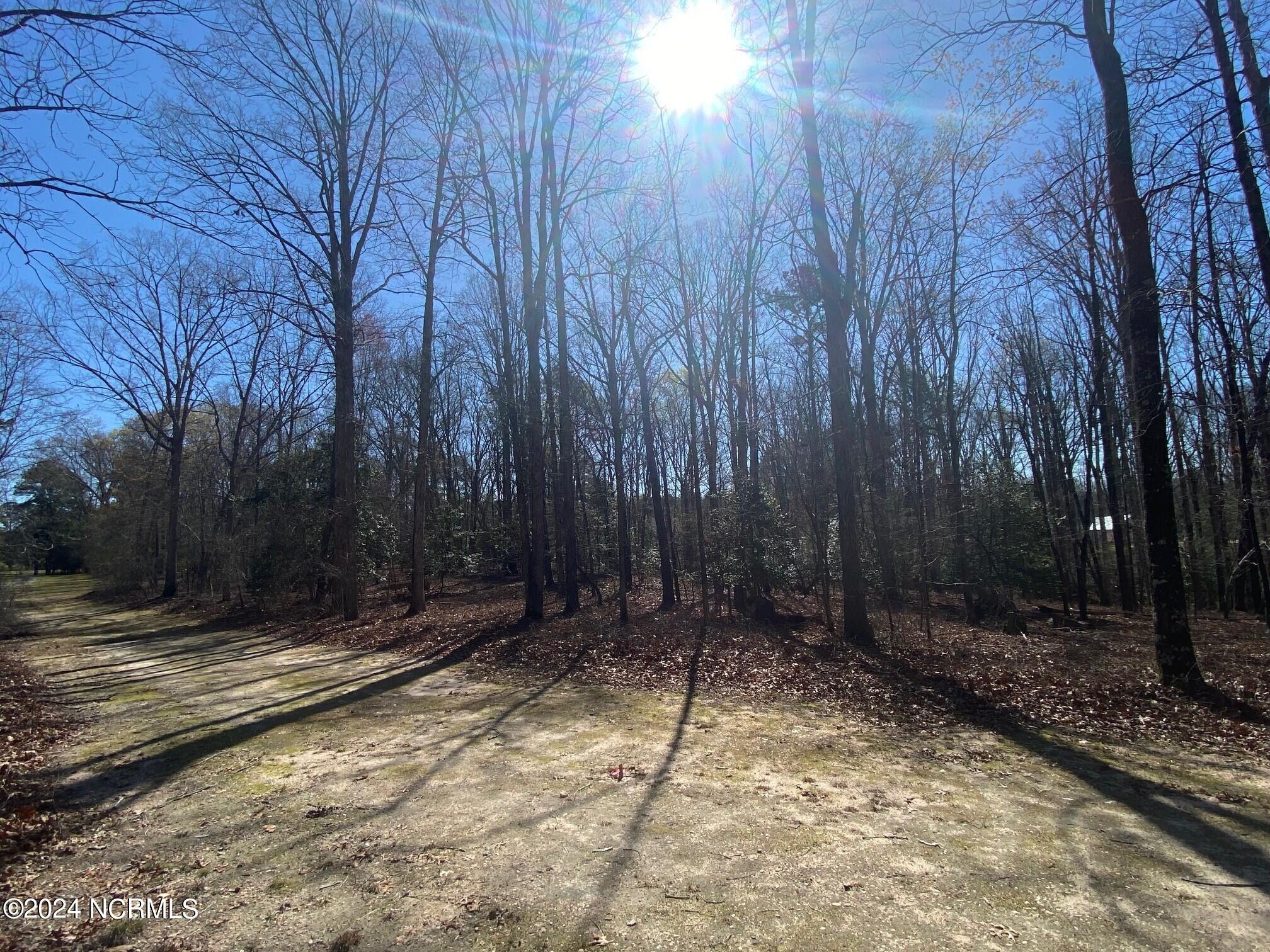 Homes for sale in Carthage, NC | 149 Winner Circle Ln, Carthage, NC 28327 | MLS# 100435053