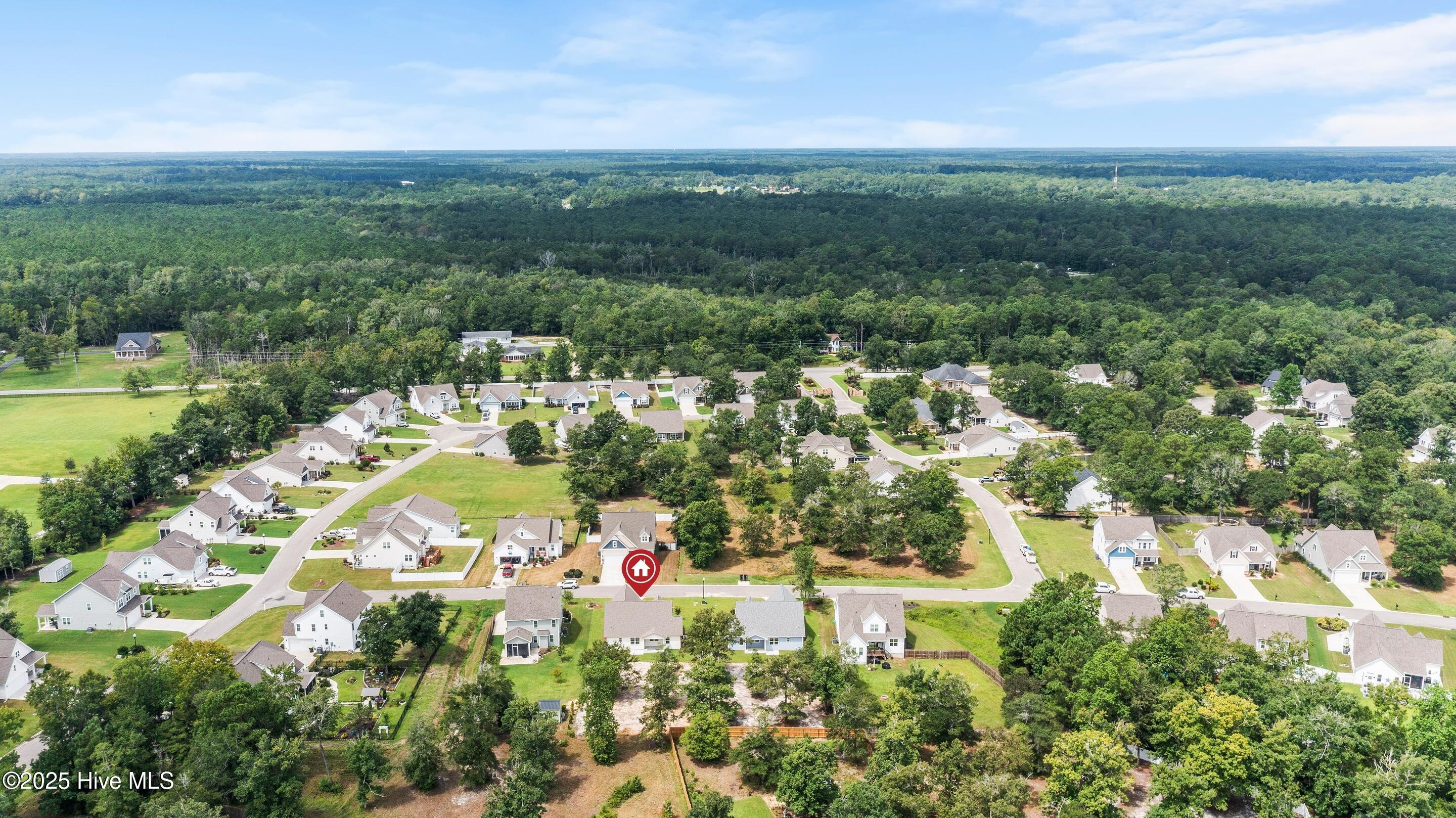 100545595 | Photo 63