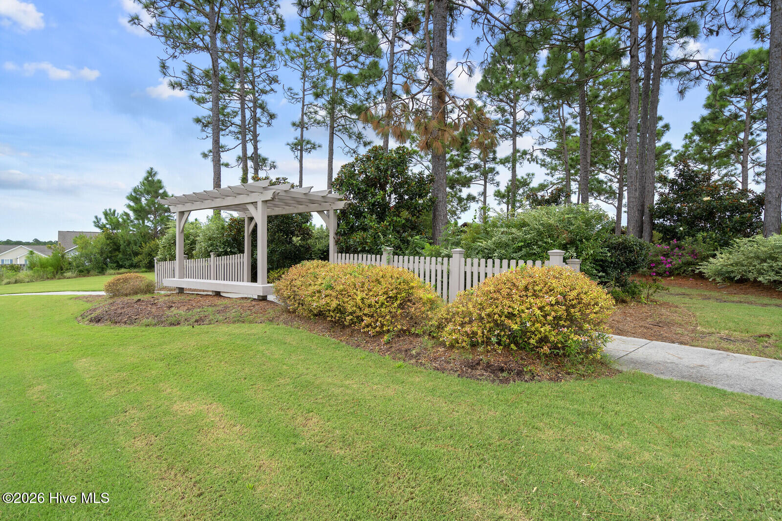 100558633 | Photo 52