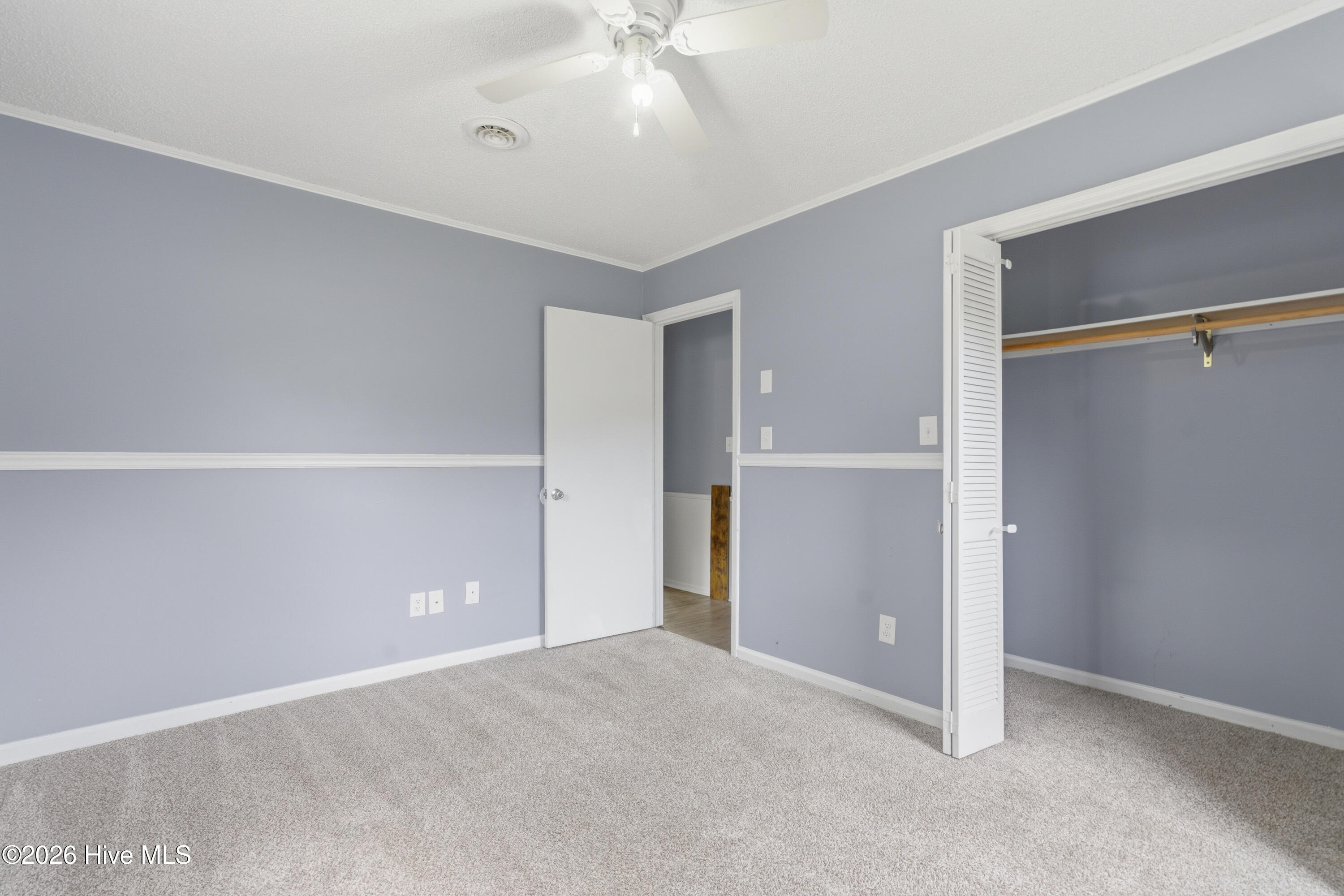 100560505 | Photo 18