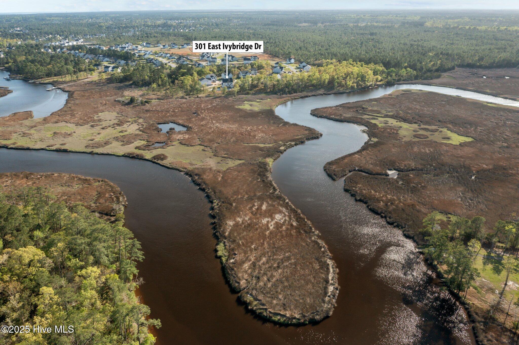 100487102 | Photo 50