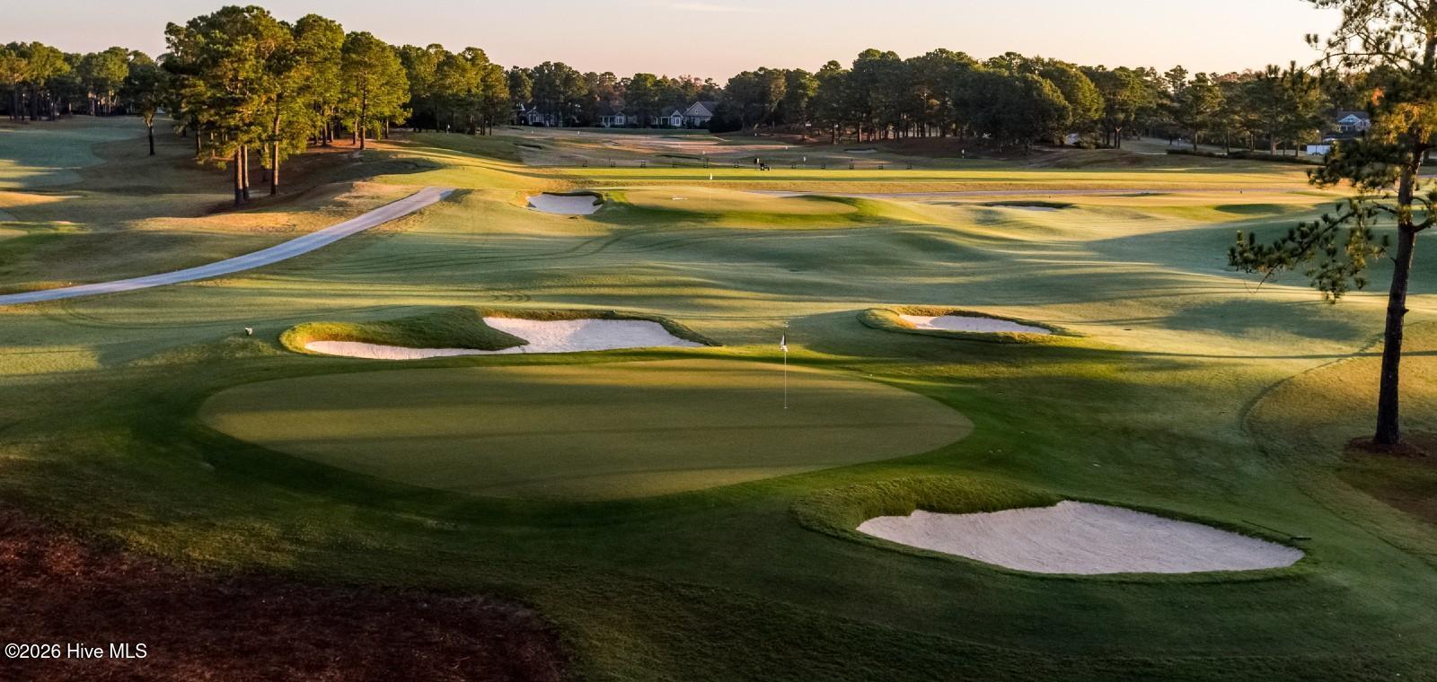 100564317 | Photo 70