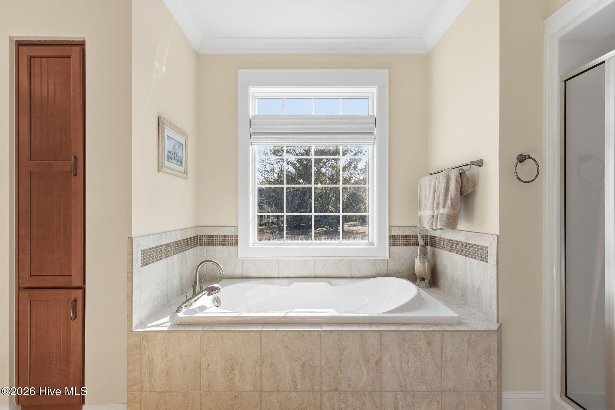 100553774 | Photo 41