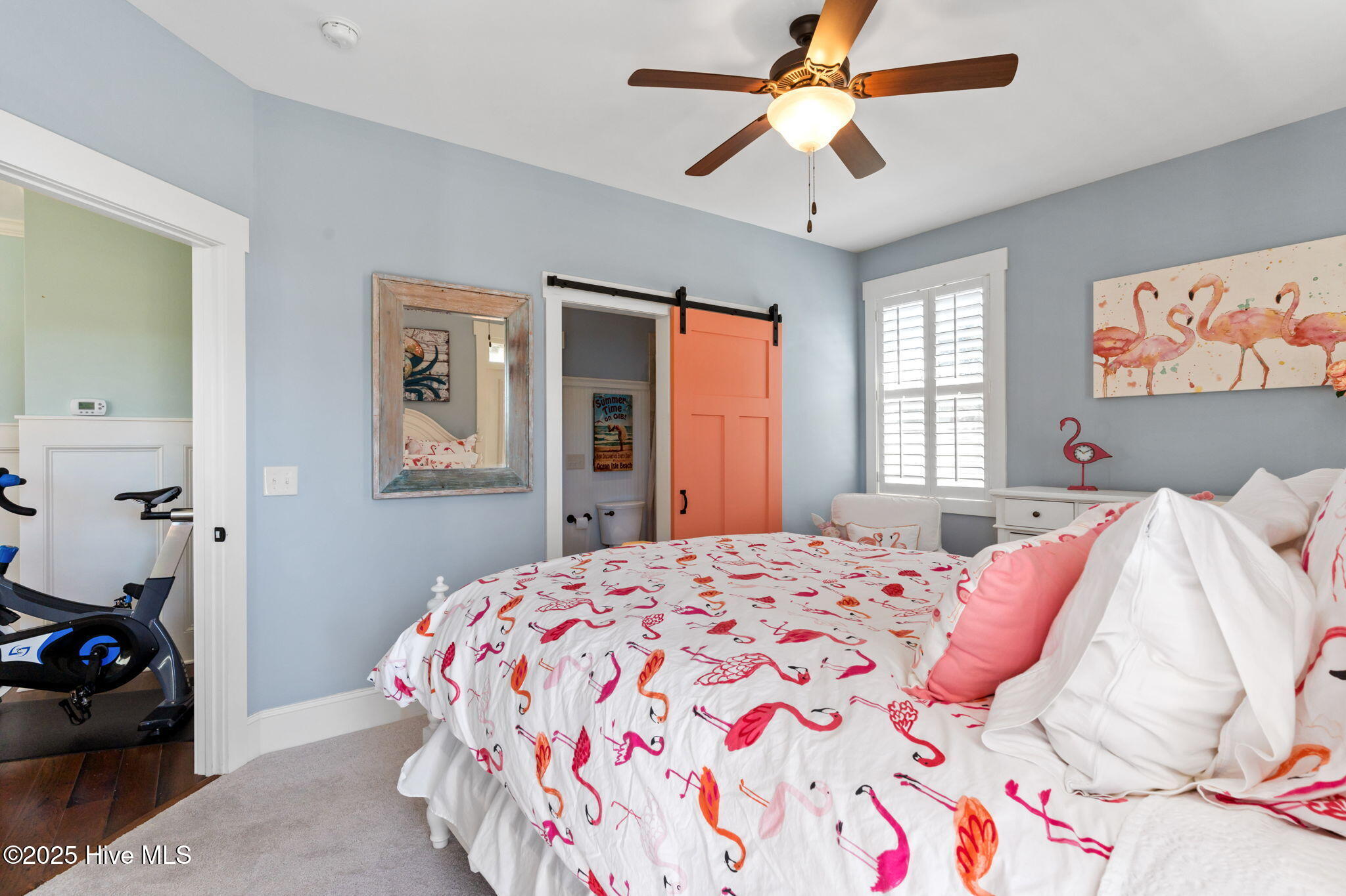 100536977 | Photo 46