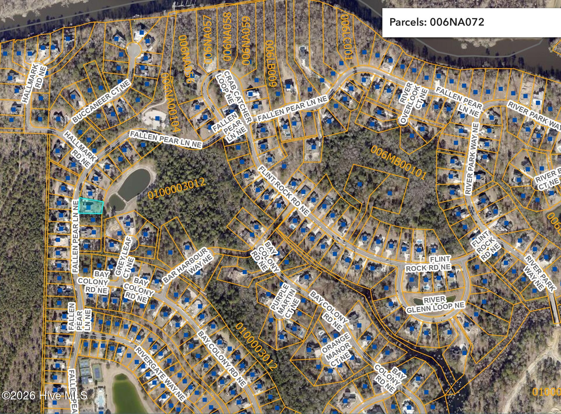 100567855 | Photo 57