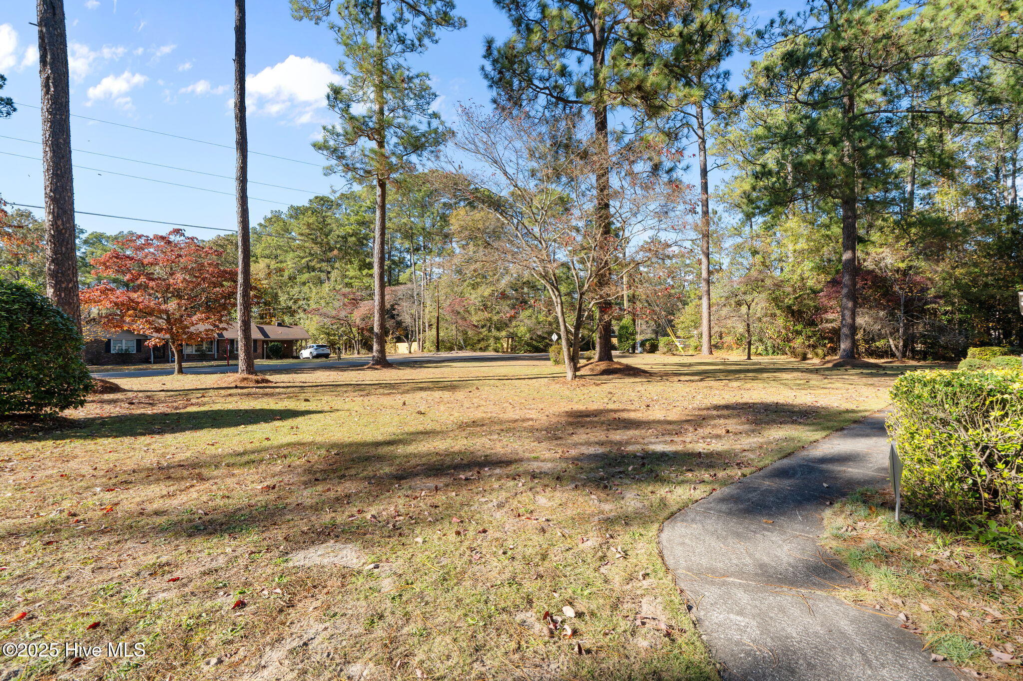 44-web-or-mls-DSC06901