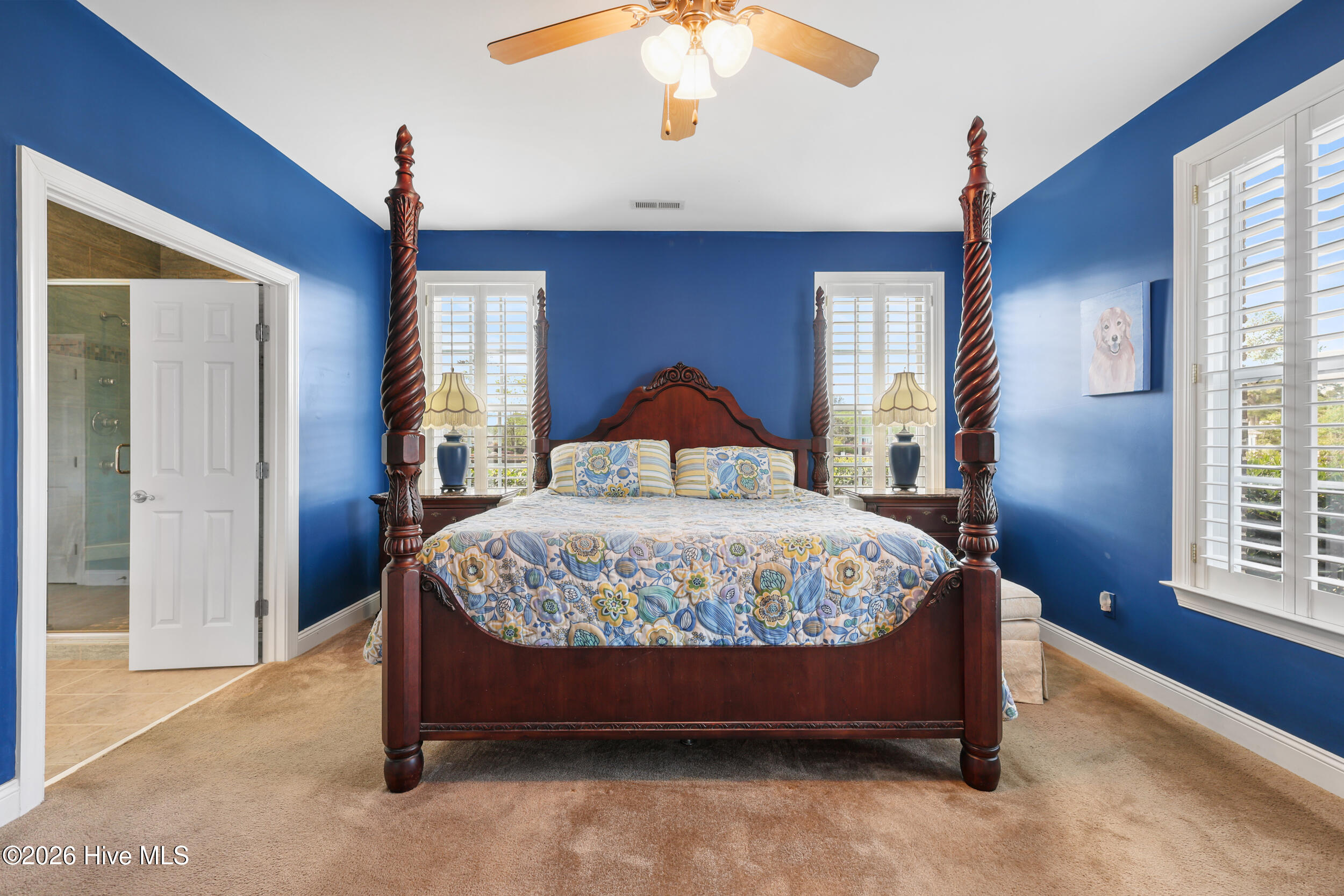 100565285 | Photo 24