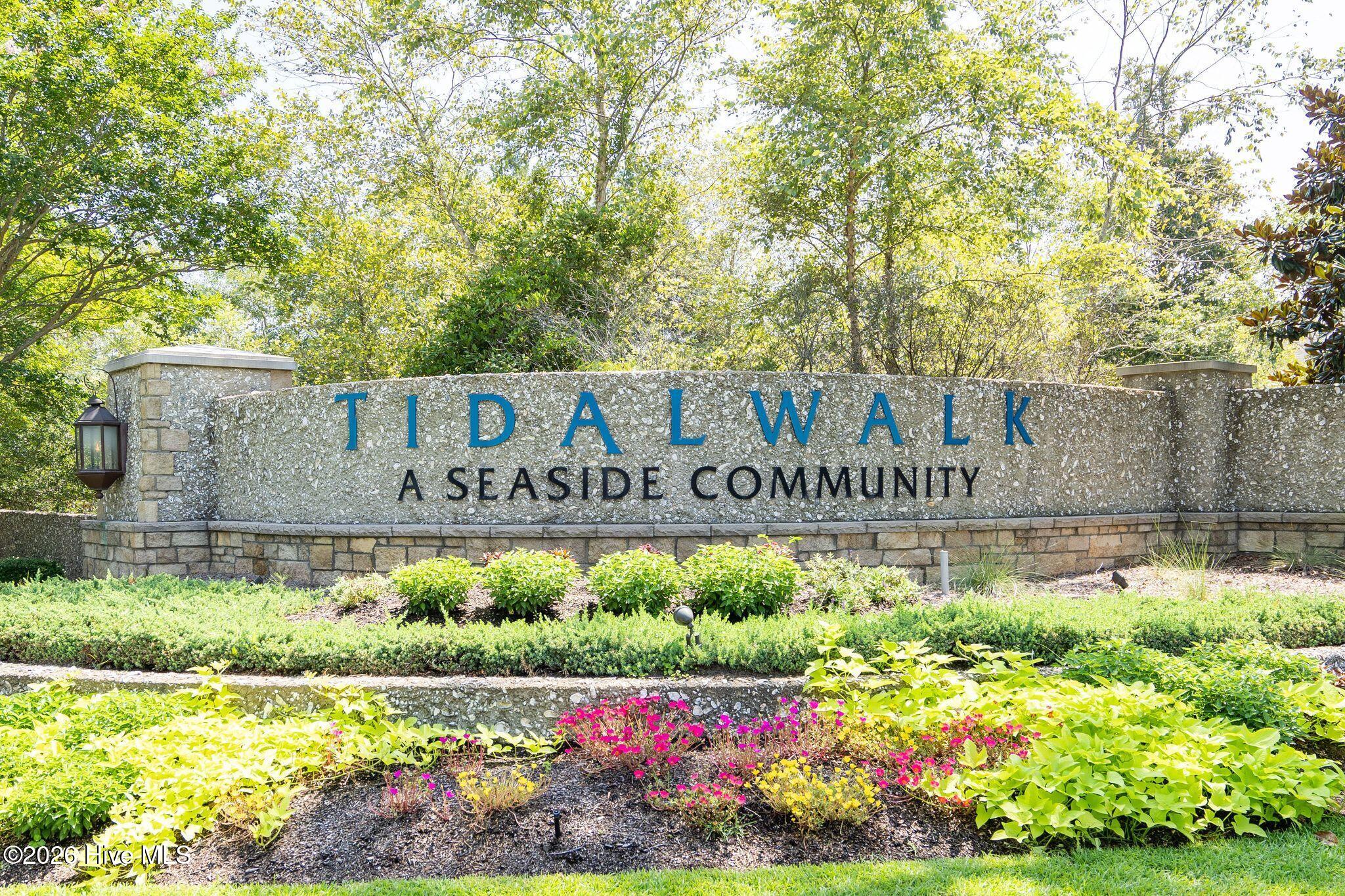 100566461 | Photo 52