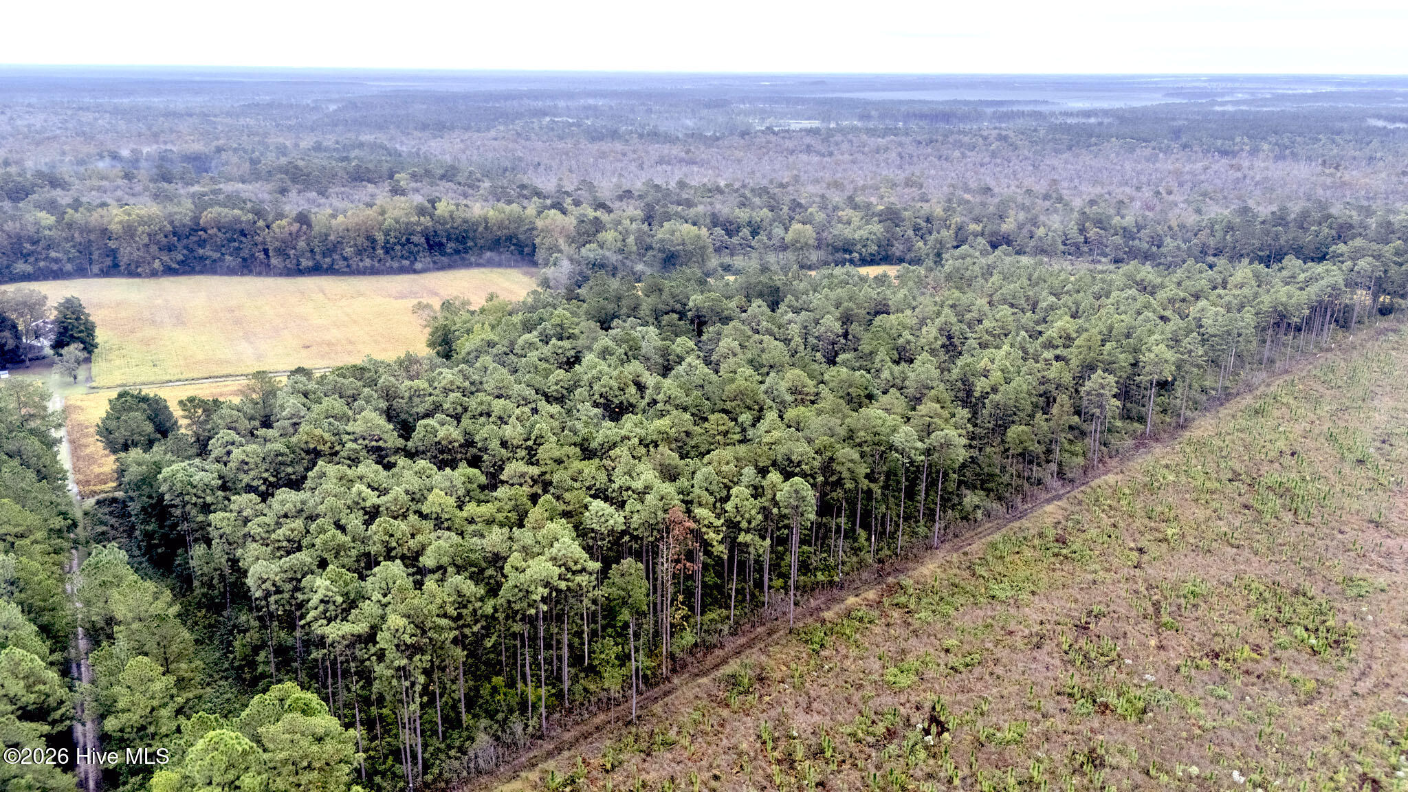 10.57 Ac Egypt Road NW, Ash, NC, 28420