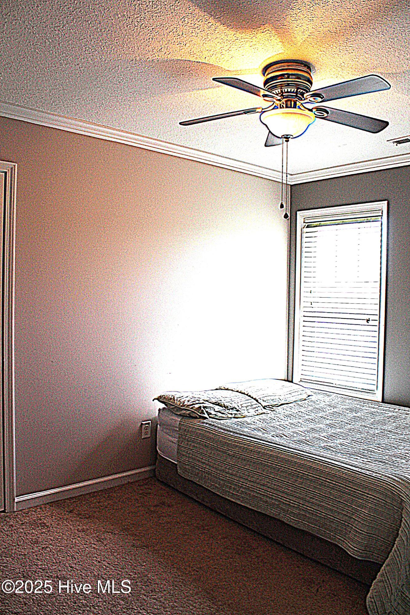 100555059 | Photo 18