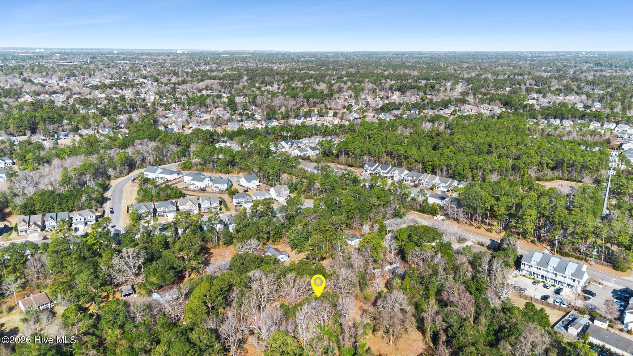 100554354 | Photo 59