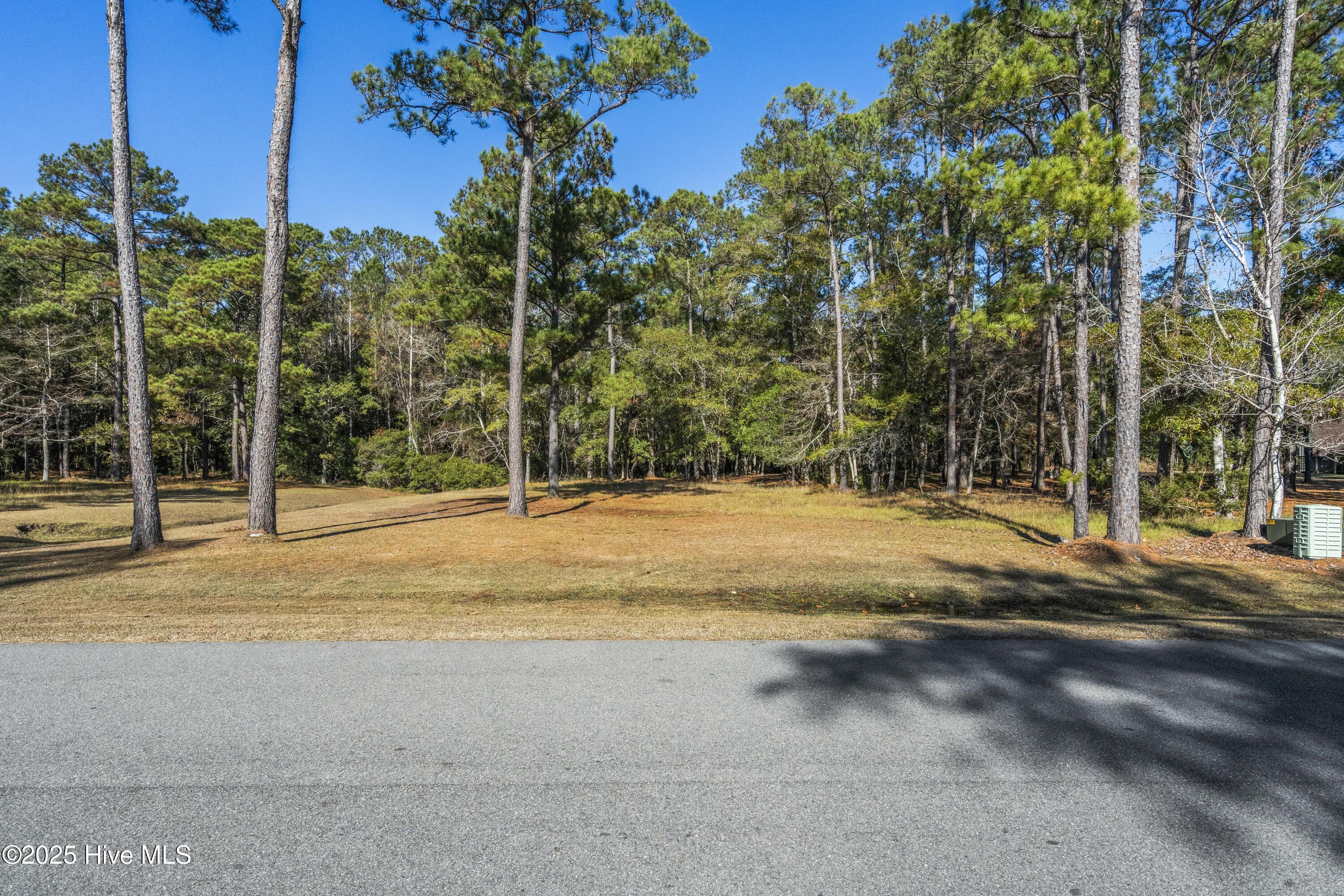 100545340 | Photo 20