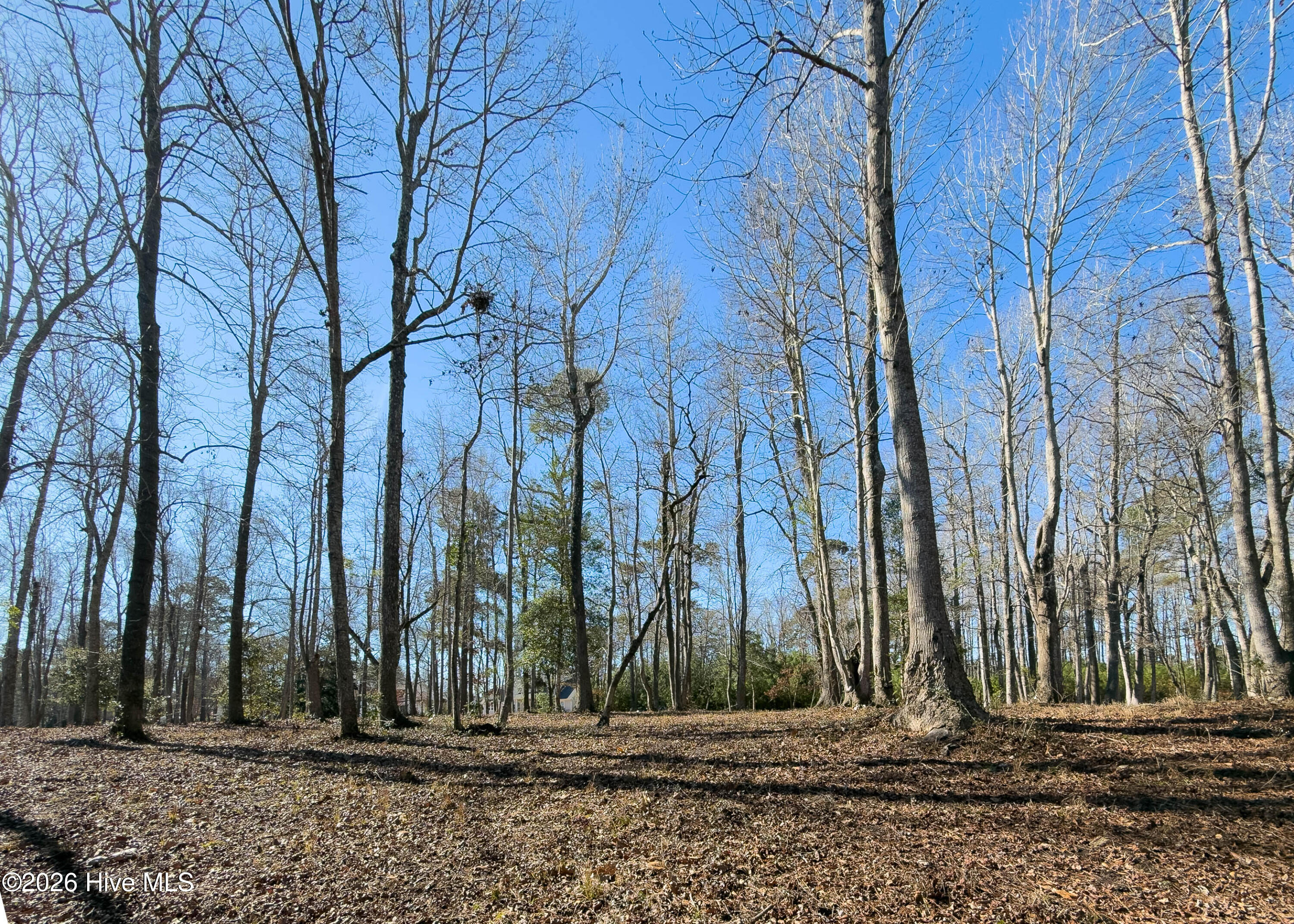 100551638 | Photo 20