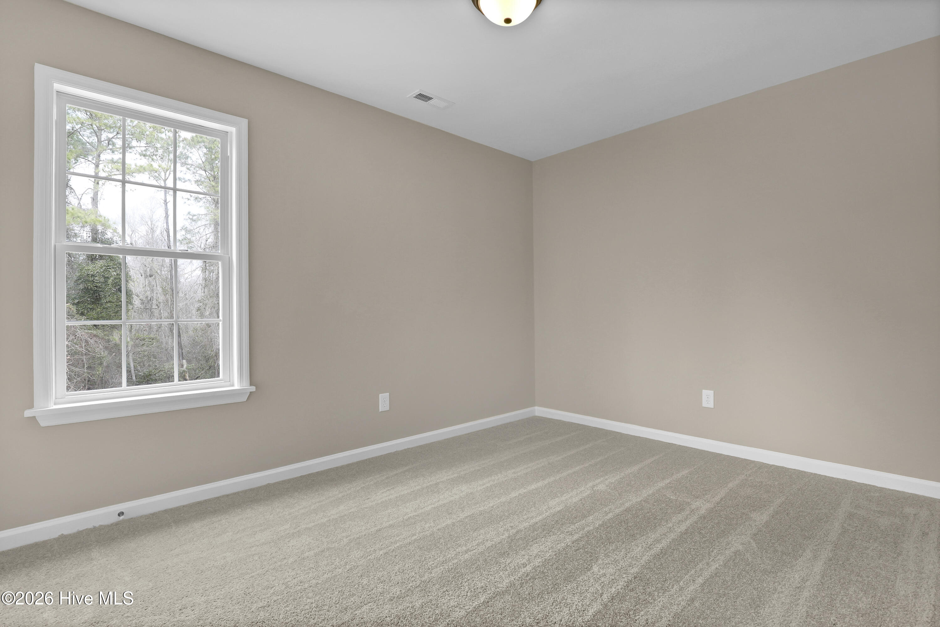 100556973 | Photo 17