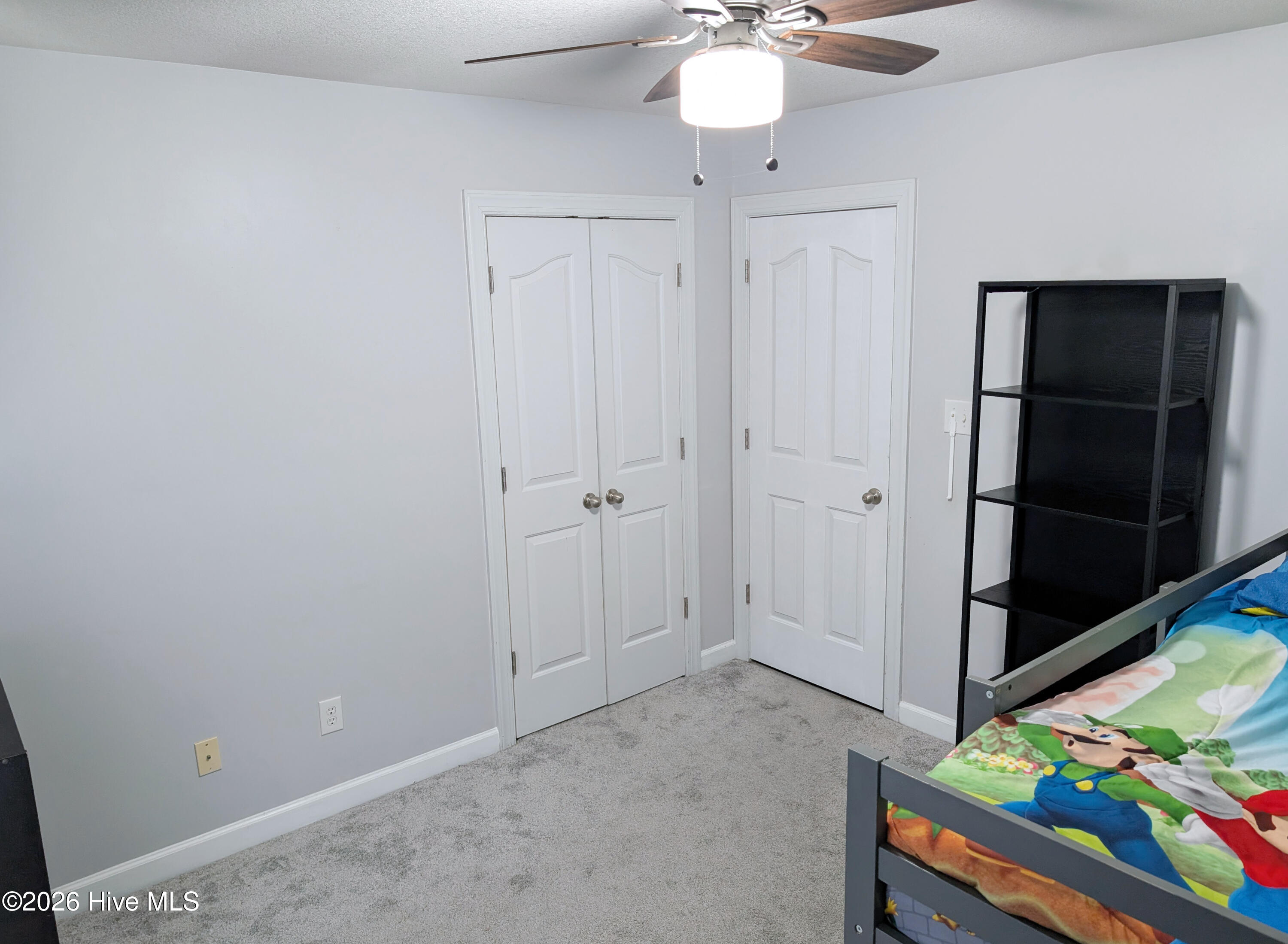 100564734 | Photo 11