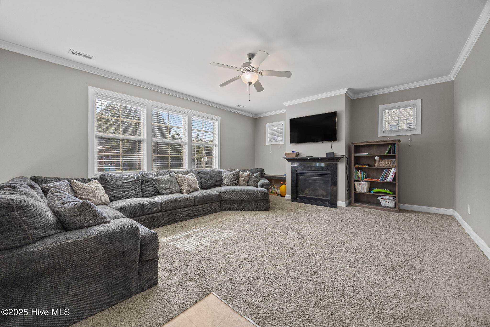 100533509 | Photo 12