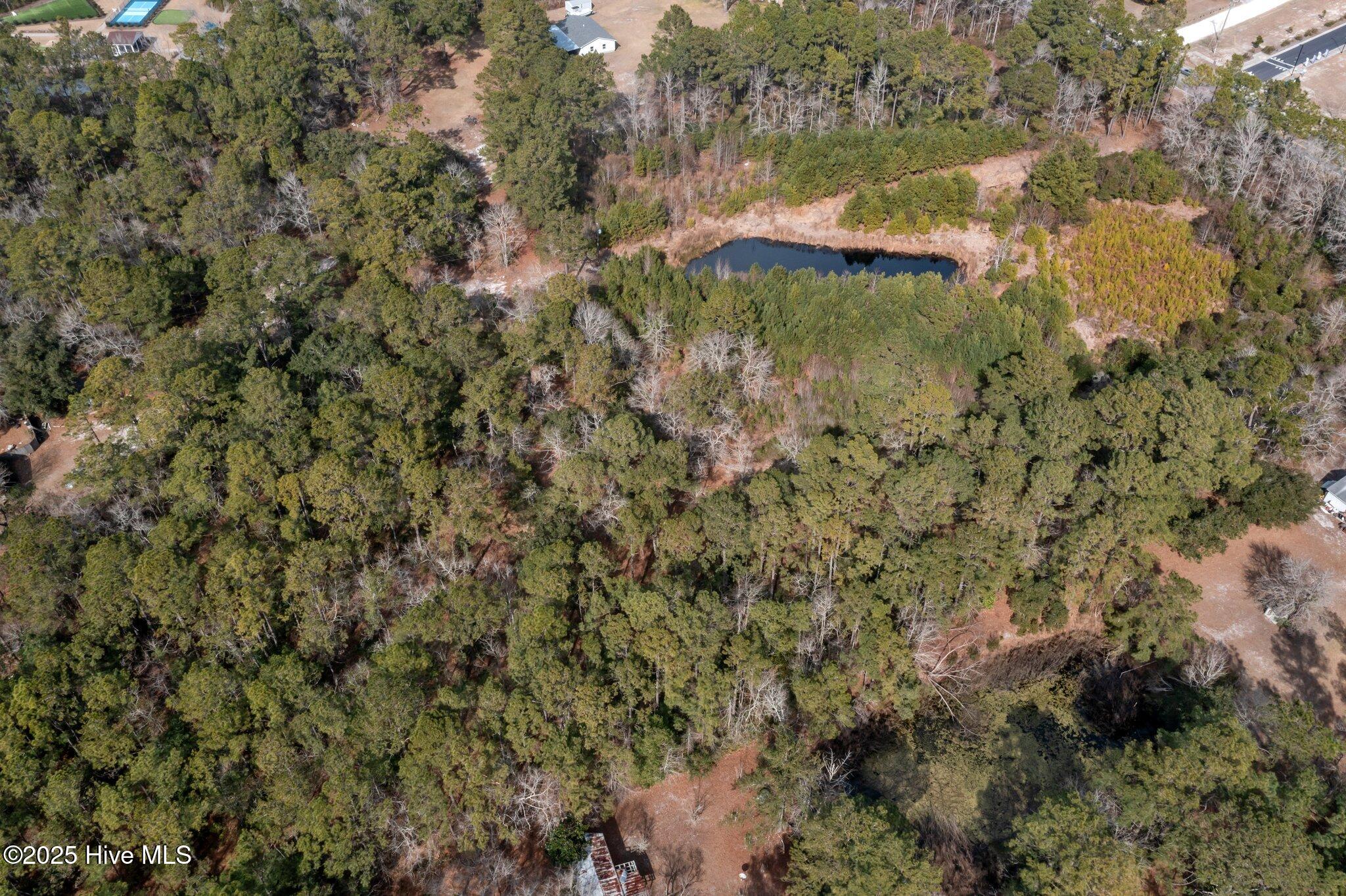 100501075 | Photo 14