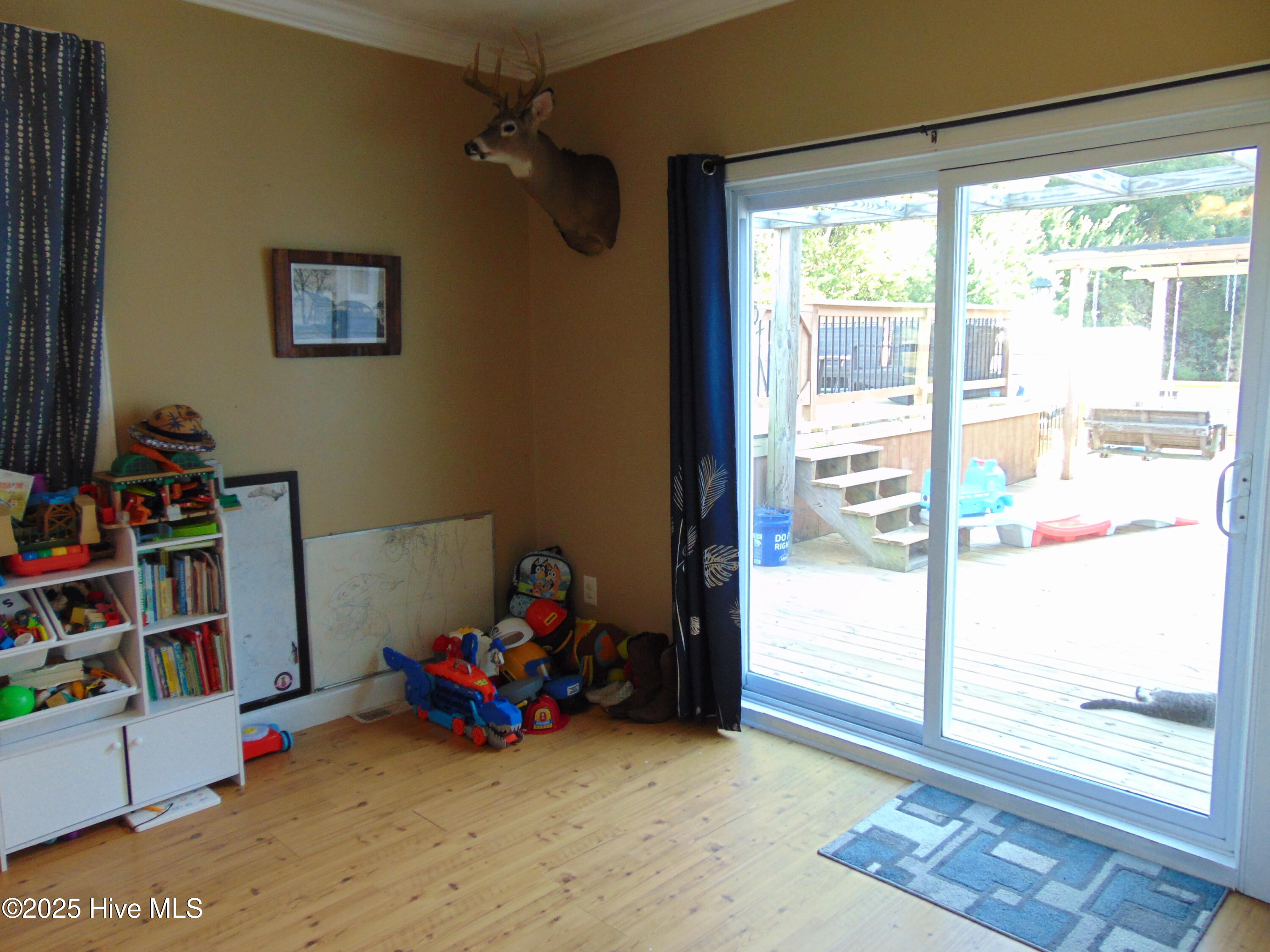 13619 Us Highway 258, Scotland Neck, NC, 27874