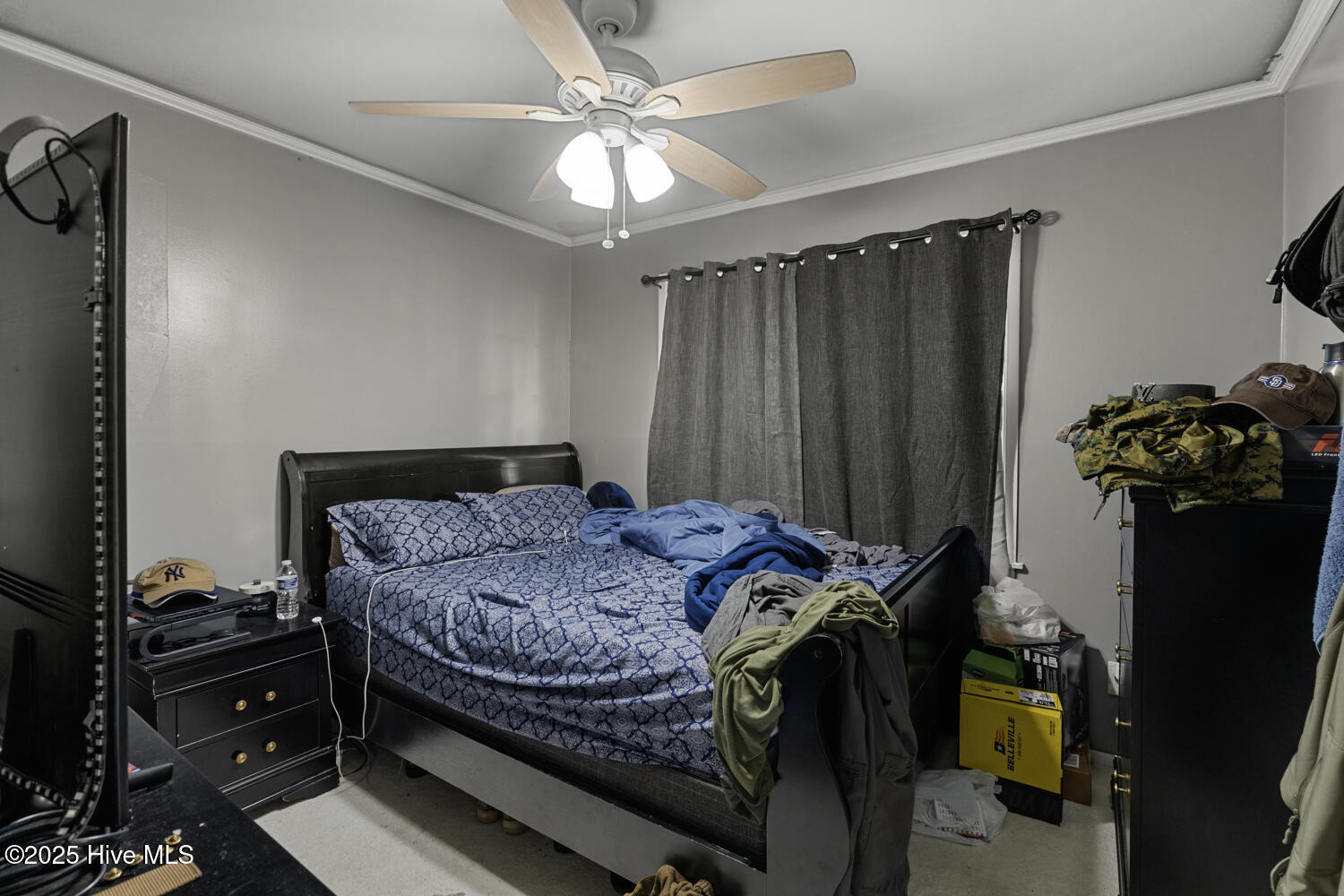 100512927 | Photo 13