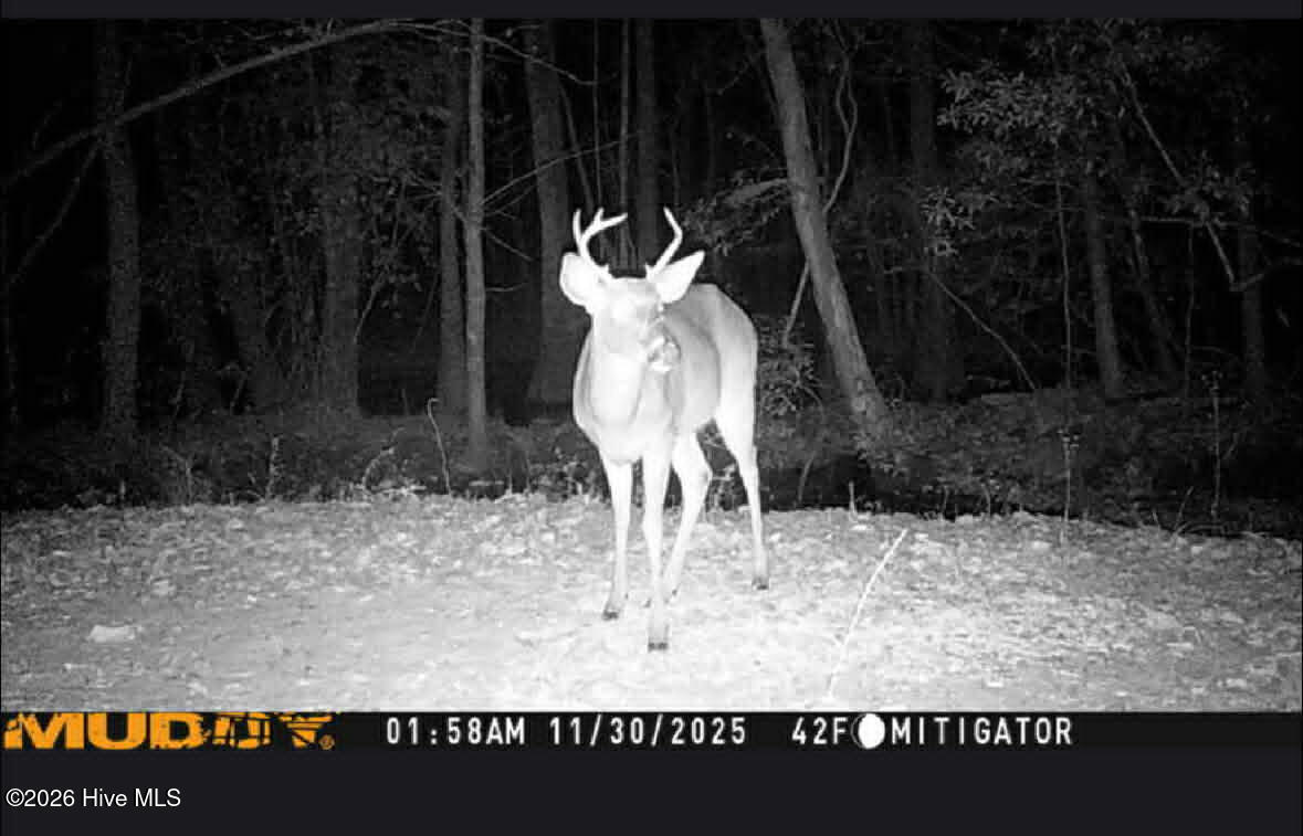 100570604 | Photo 44