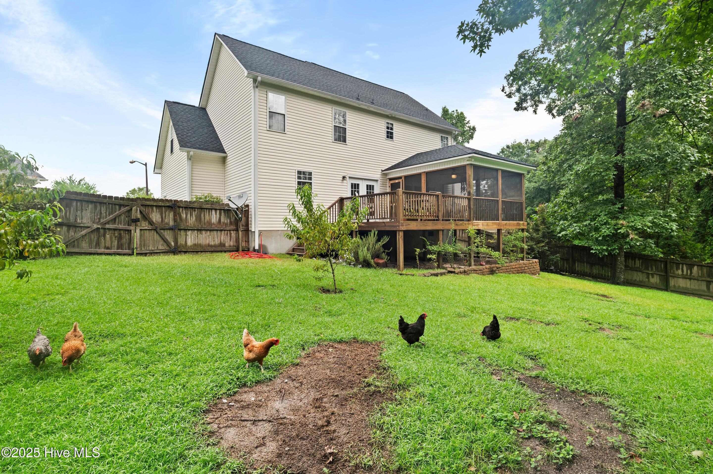 100523069 | Photo 35