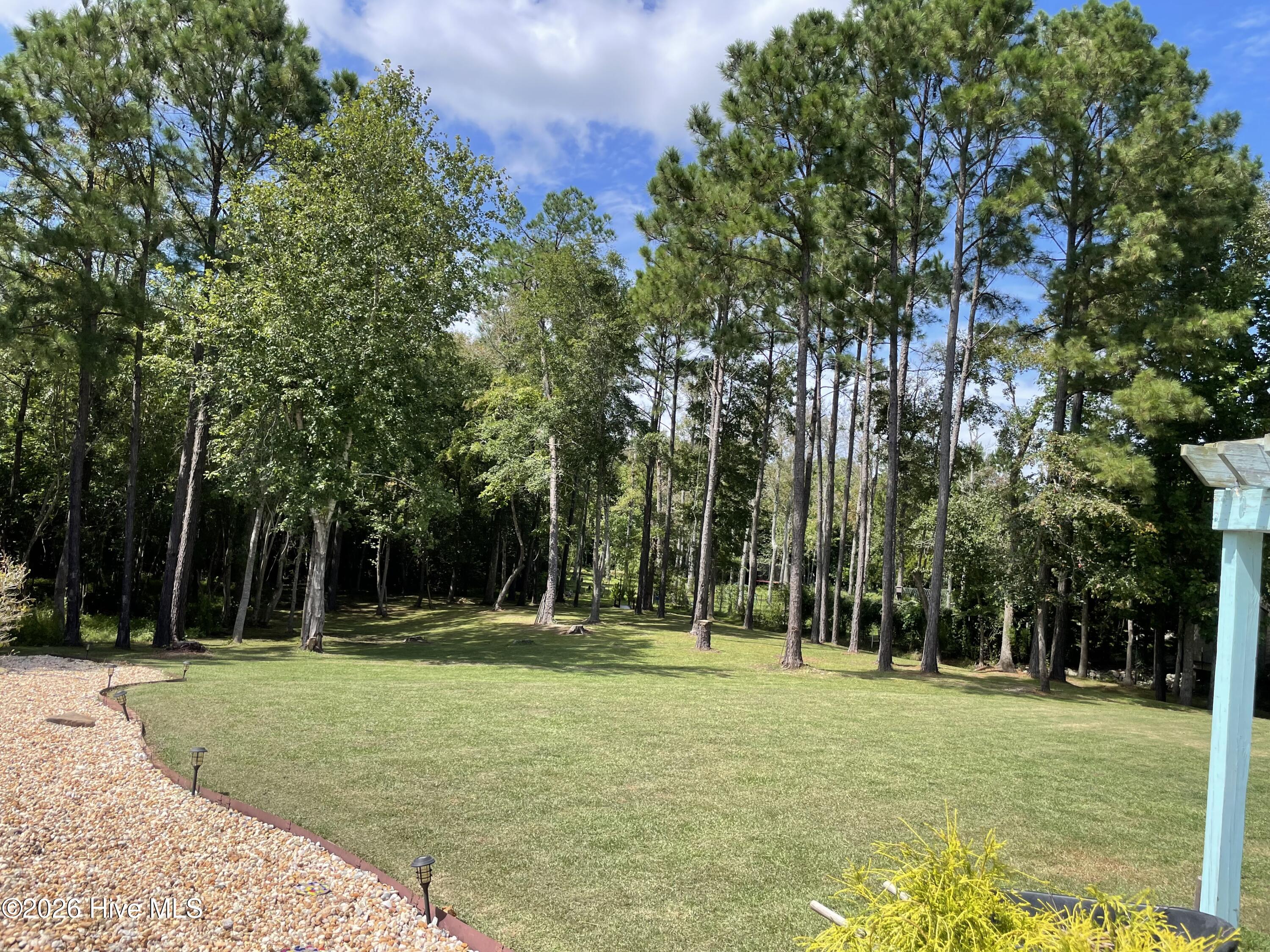 100547626 | Photo 33