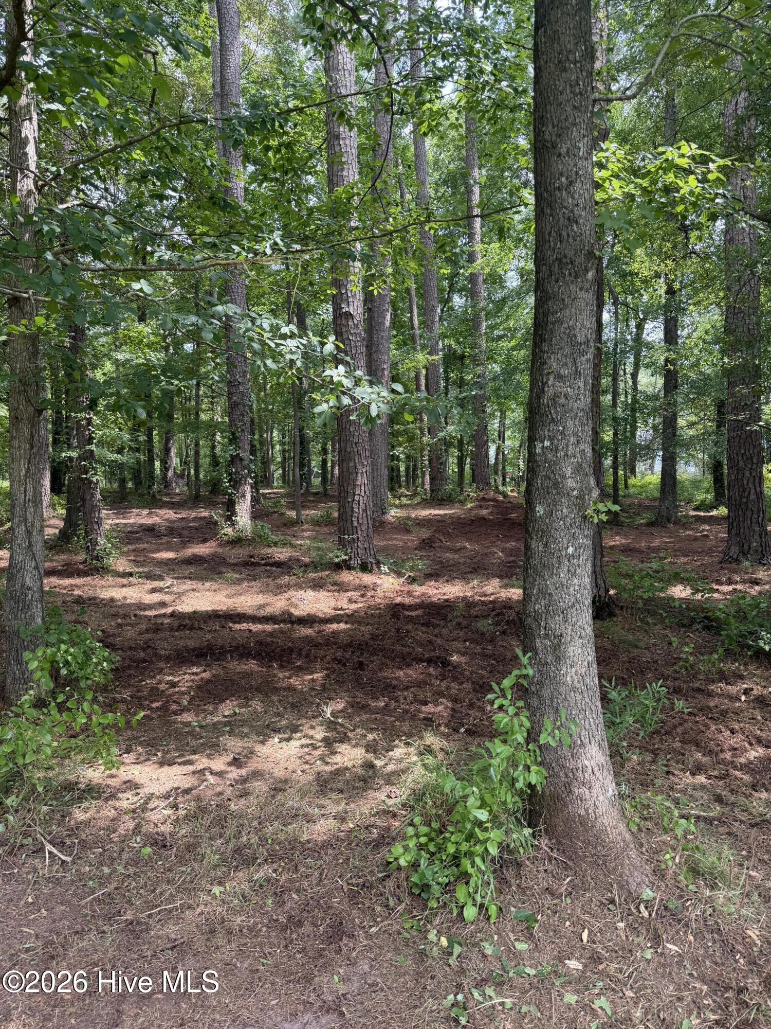 Exterior photo of 0 94 Winfield Lane, Pinetown, NC 27865. MLS: 100590276