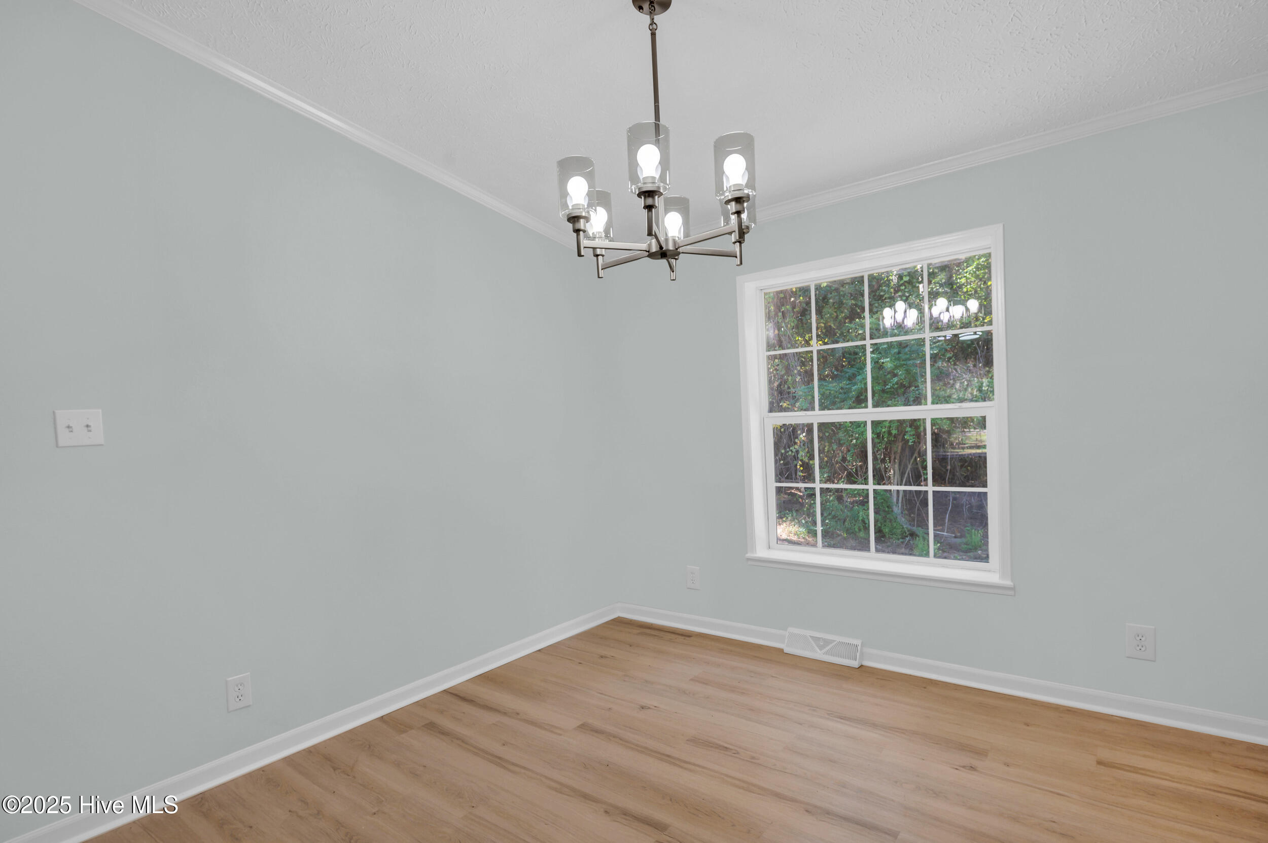 100537277 | Photo 11