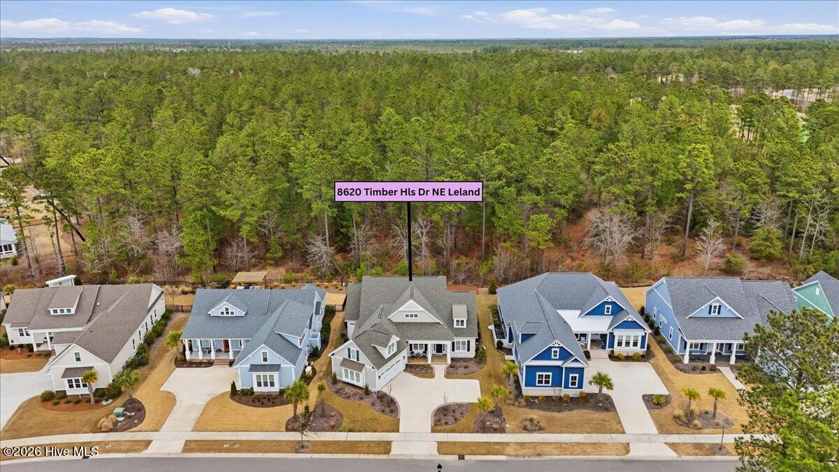 100558709 | Photo 91