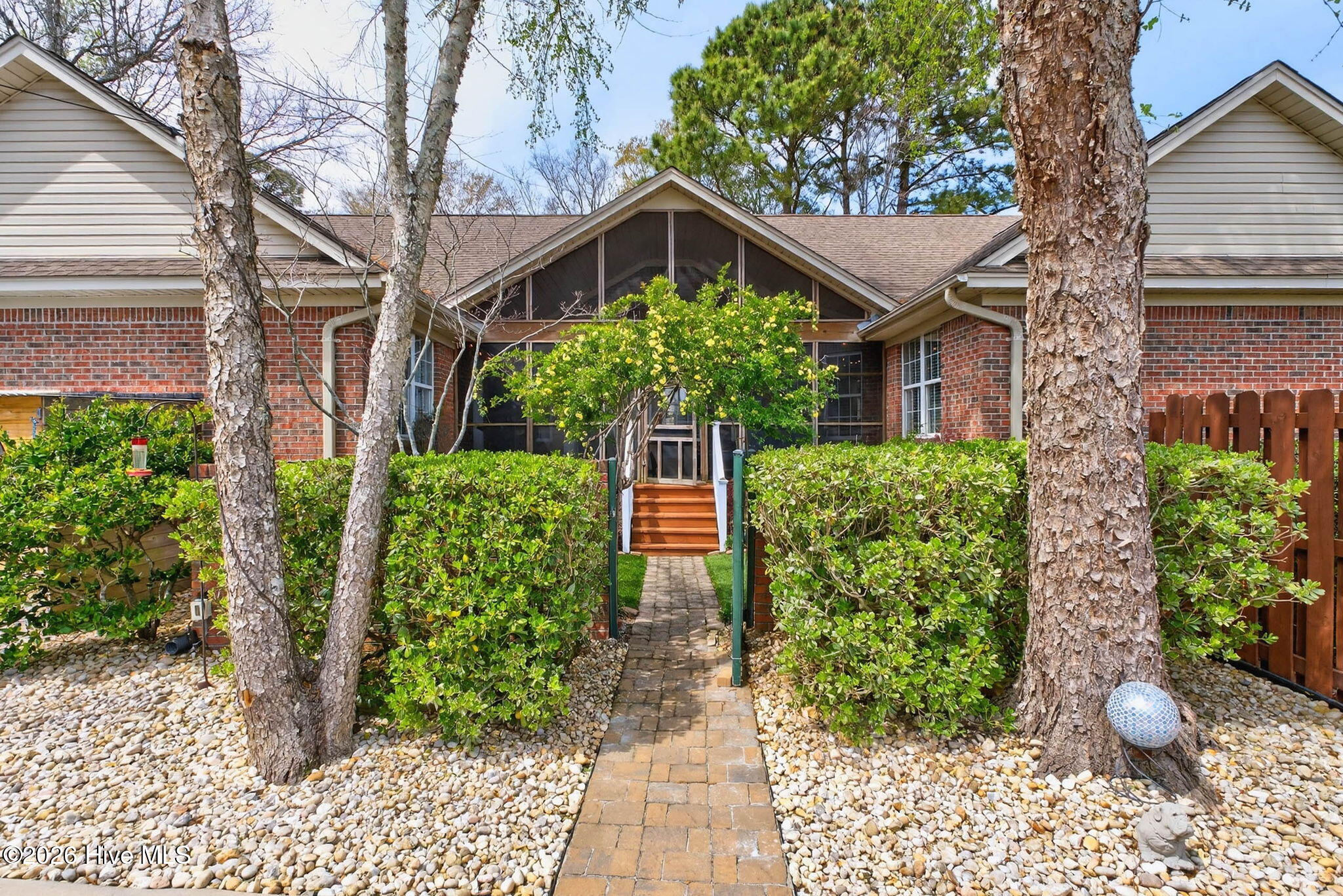 100562589 | Photo 14