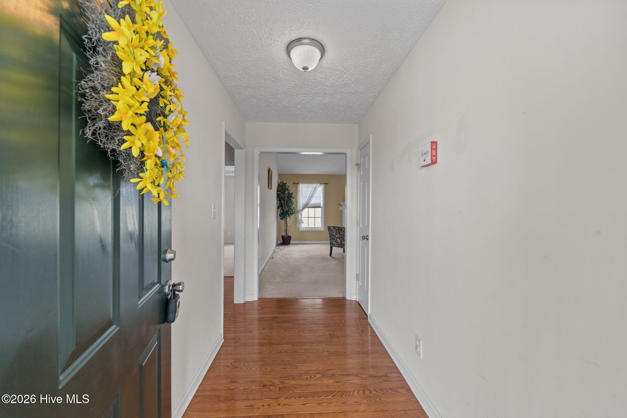 101 Pine Brae Lane
