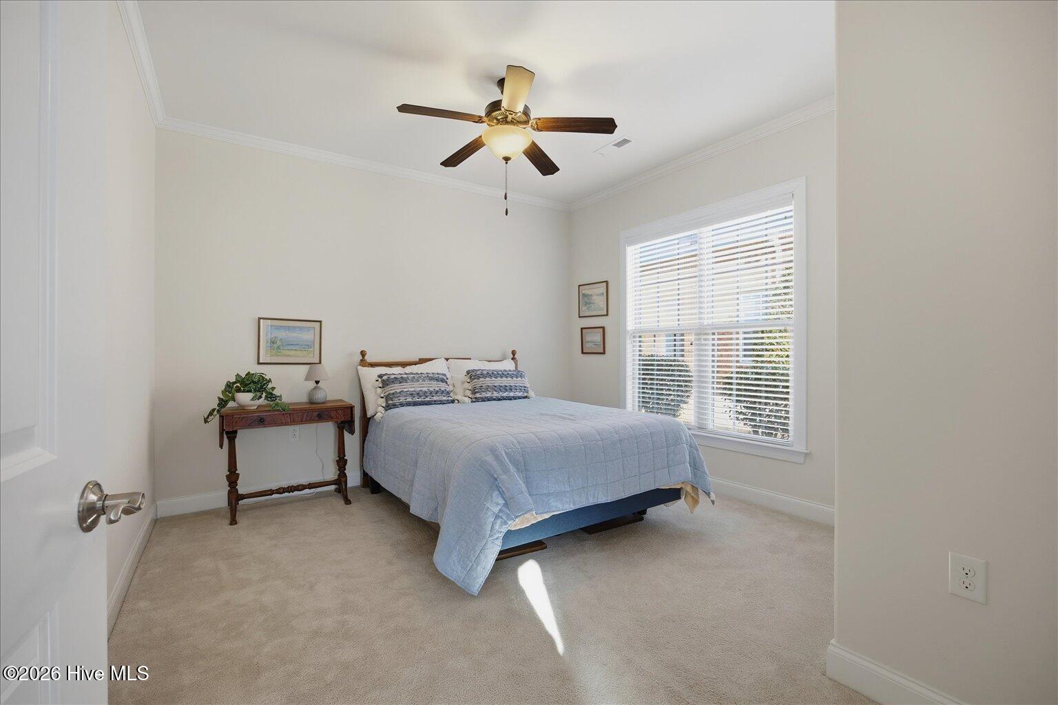 100551356 | Photo 17