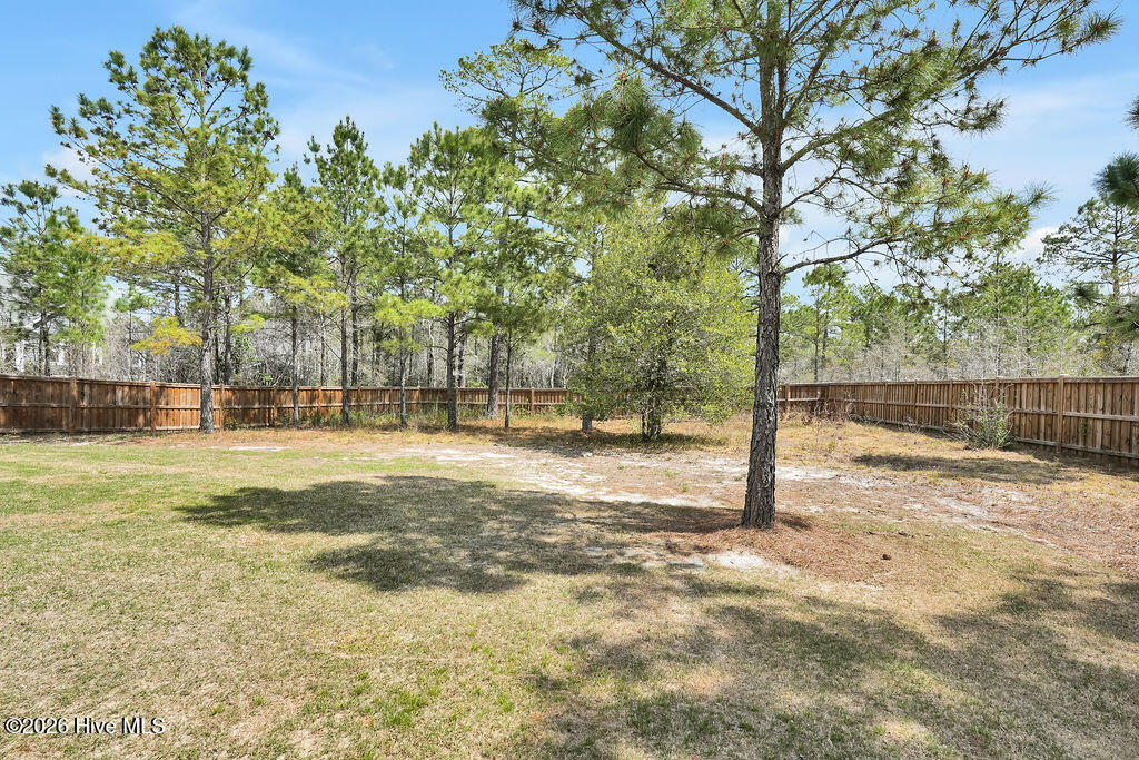 100564545 | Photo 43