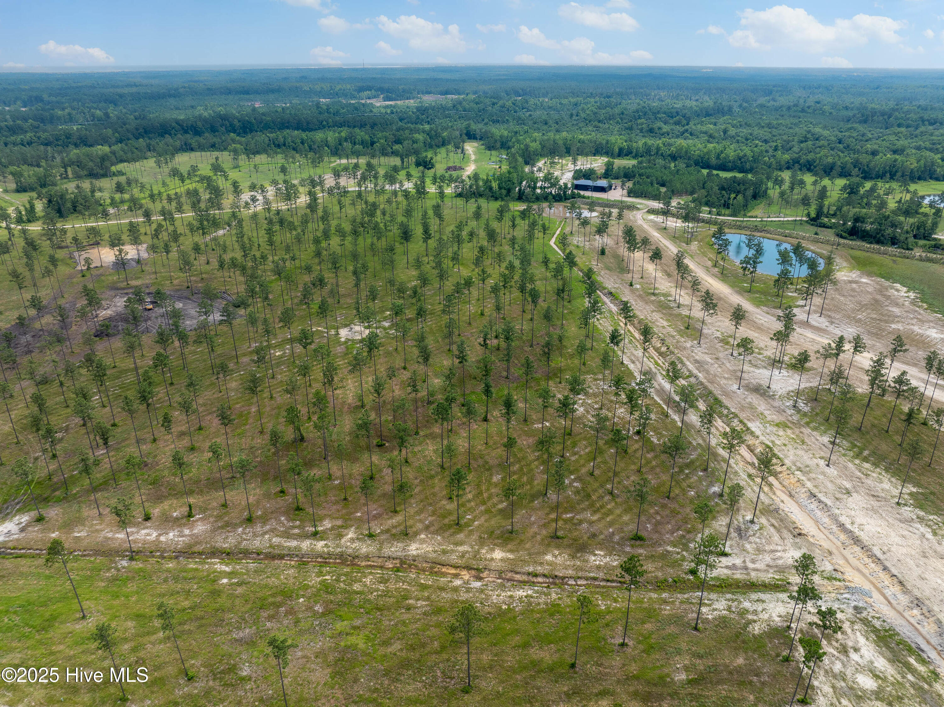 100520208 | Photo 18