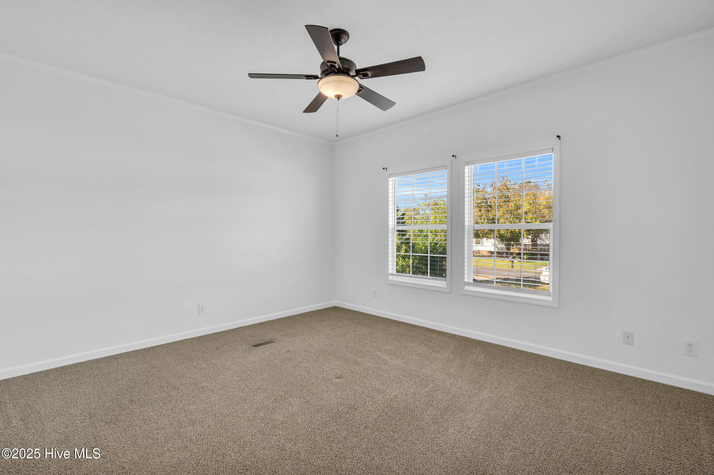 100539826 | Photo 16