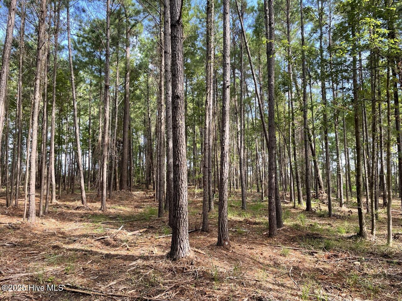 237 Garbacon Drive, Beaufort, NC, 28516