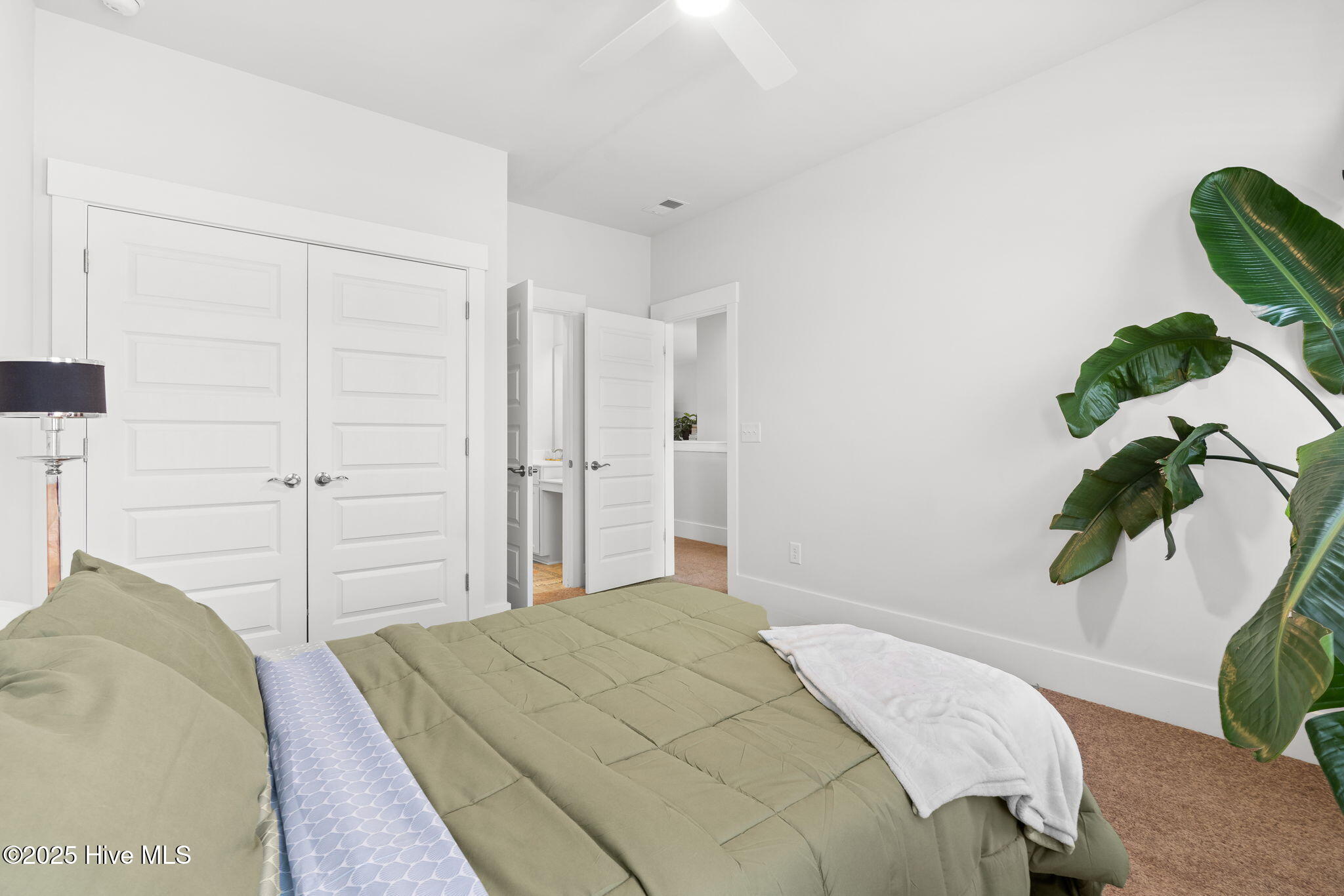 100516296 | Photo 21