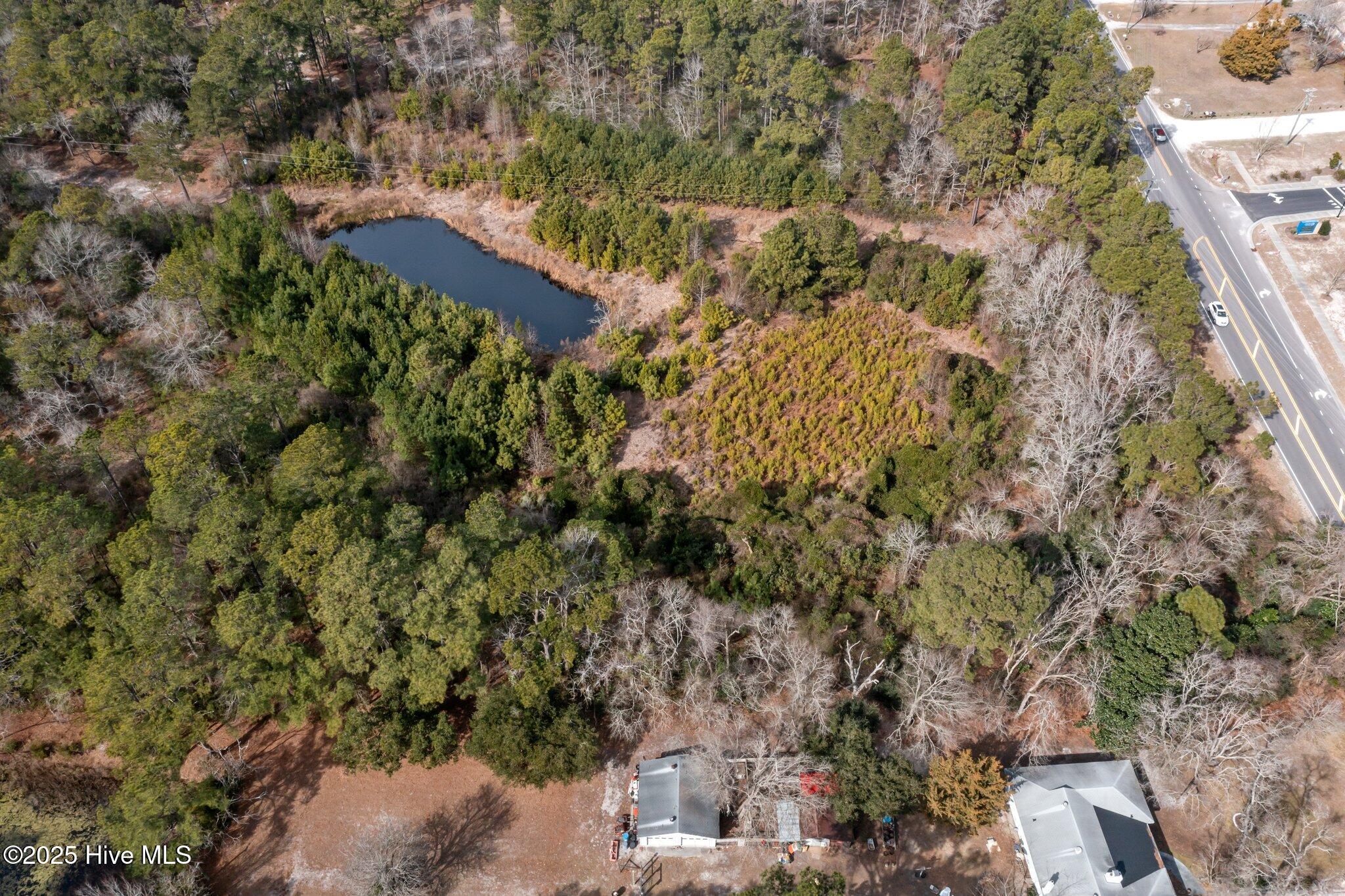 100501075 | Photo 15