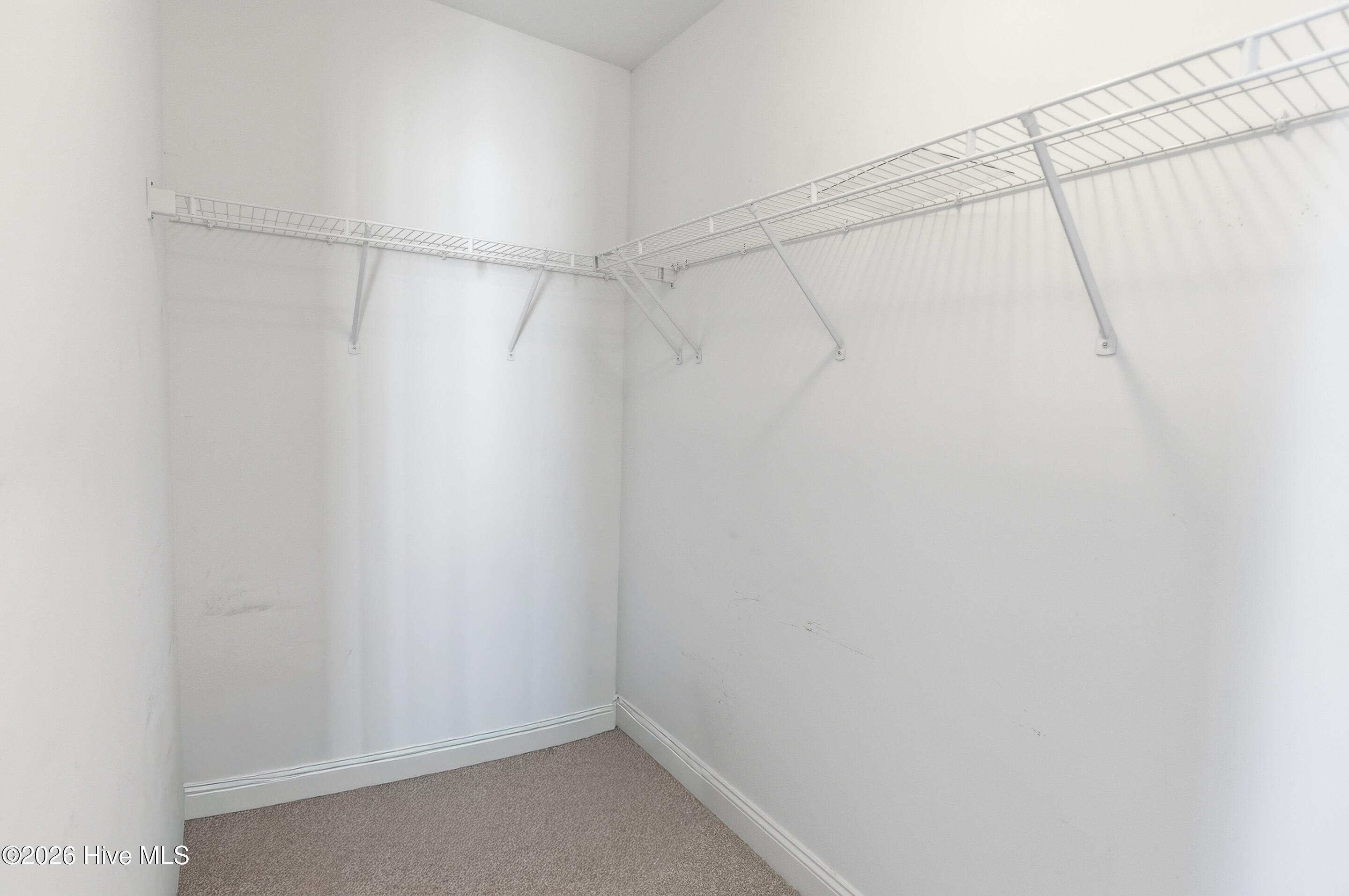 100563576 | Photo 35