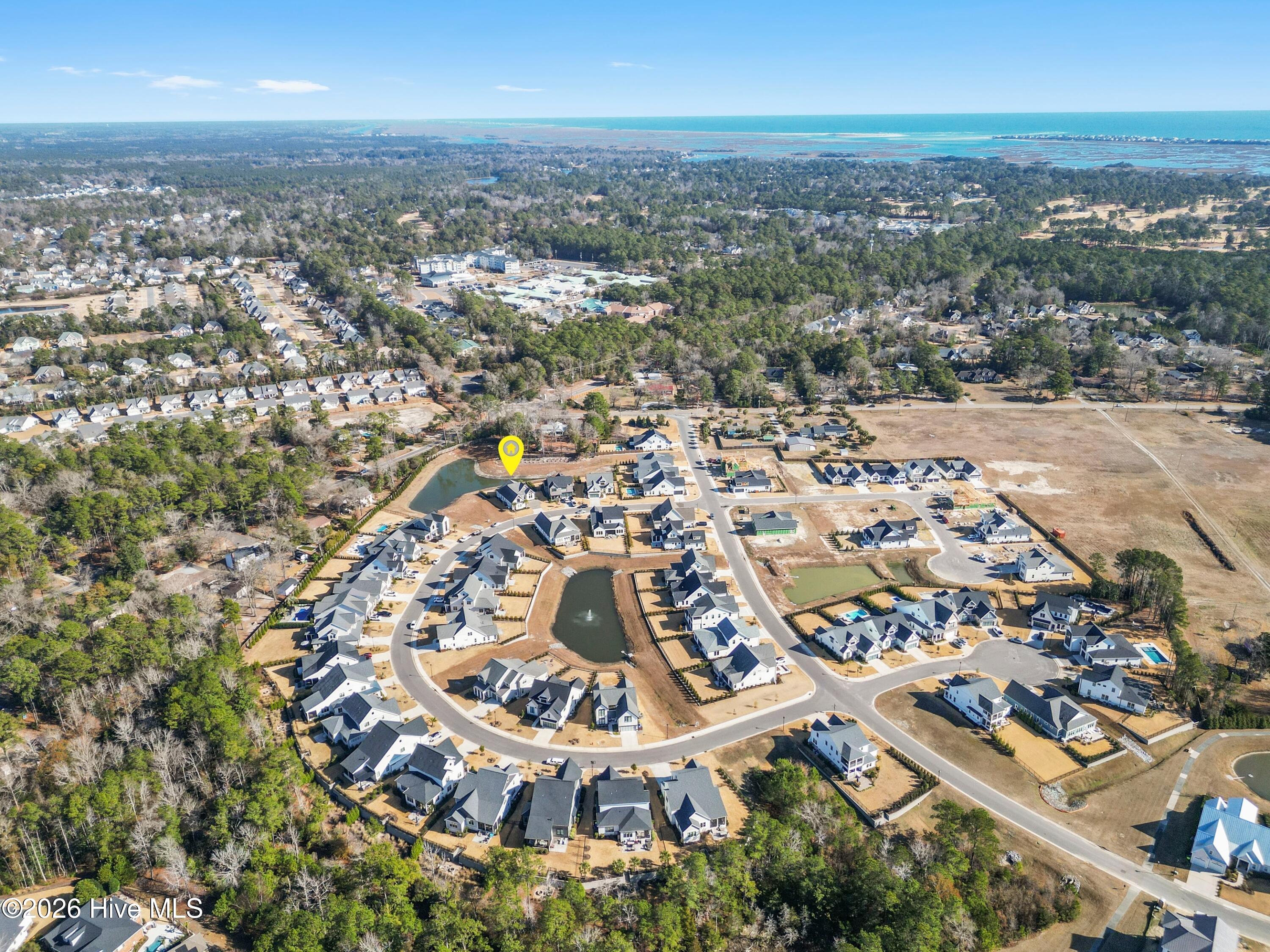 100546830 | Photo 101