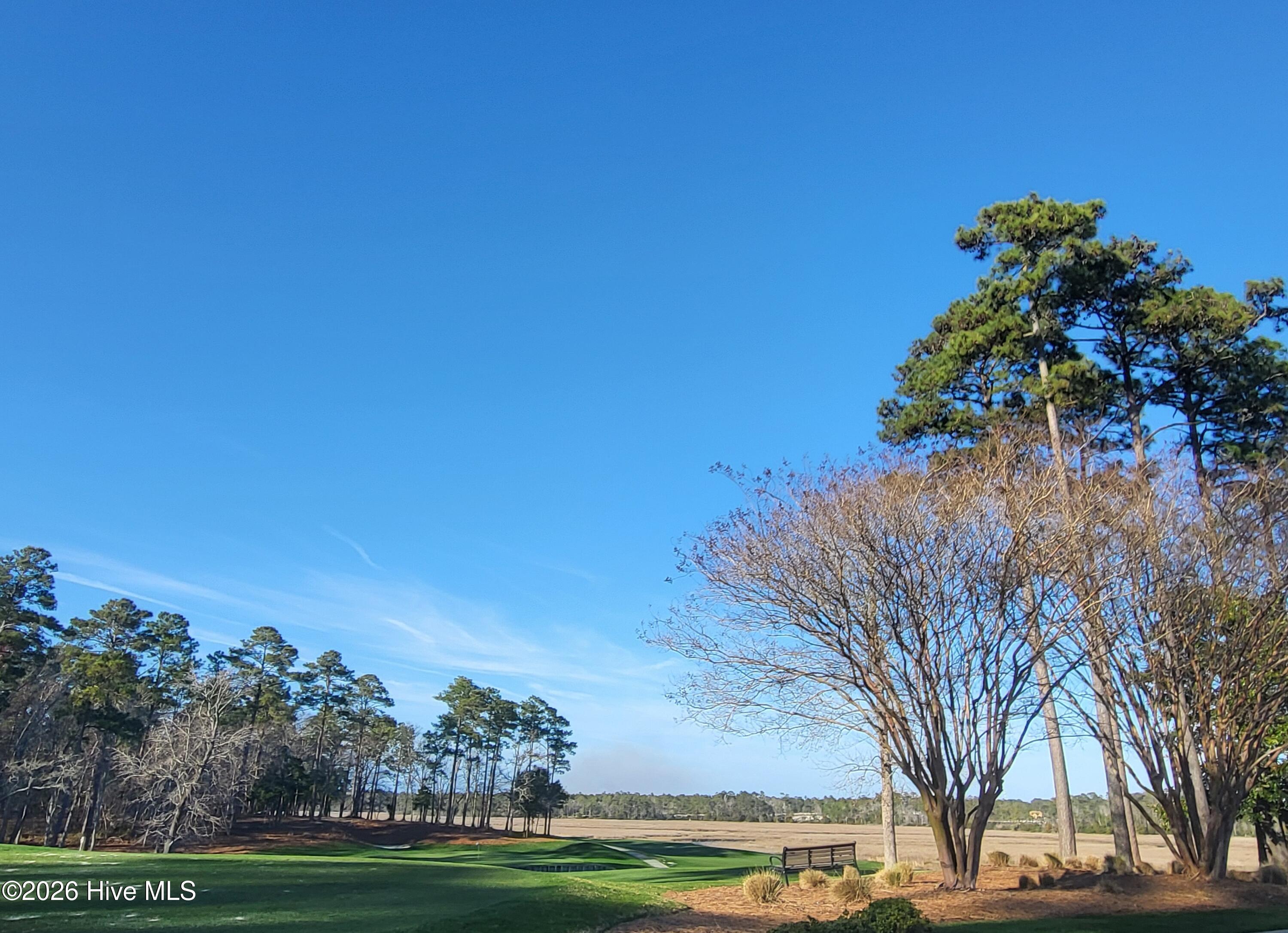 100558033 | Photo 15