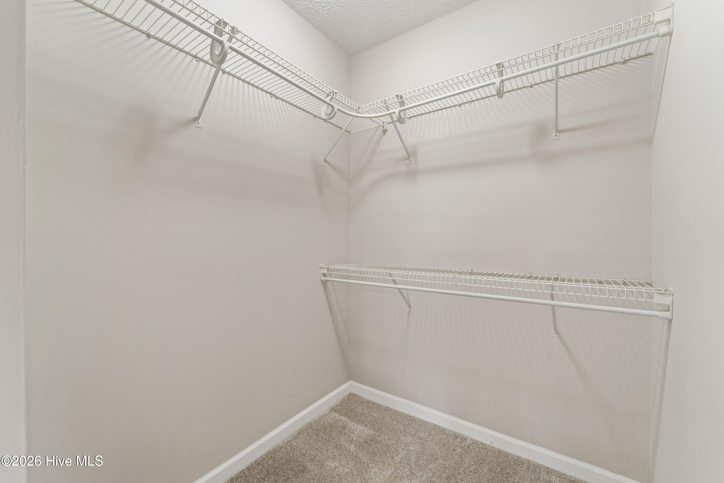 100551599 | Photo 26