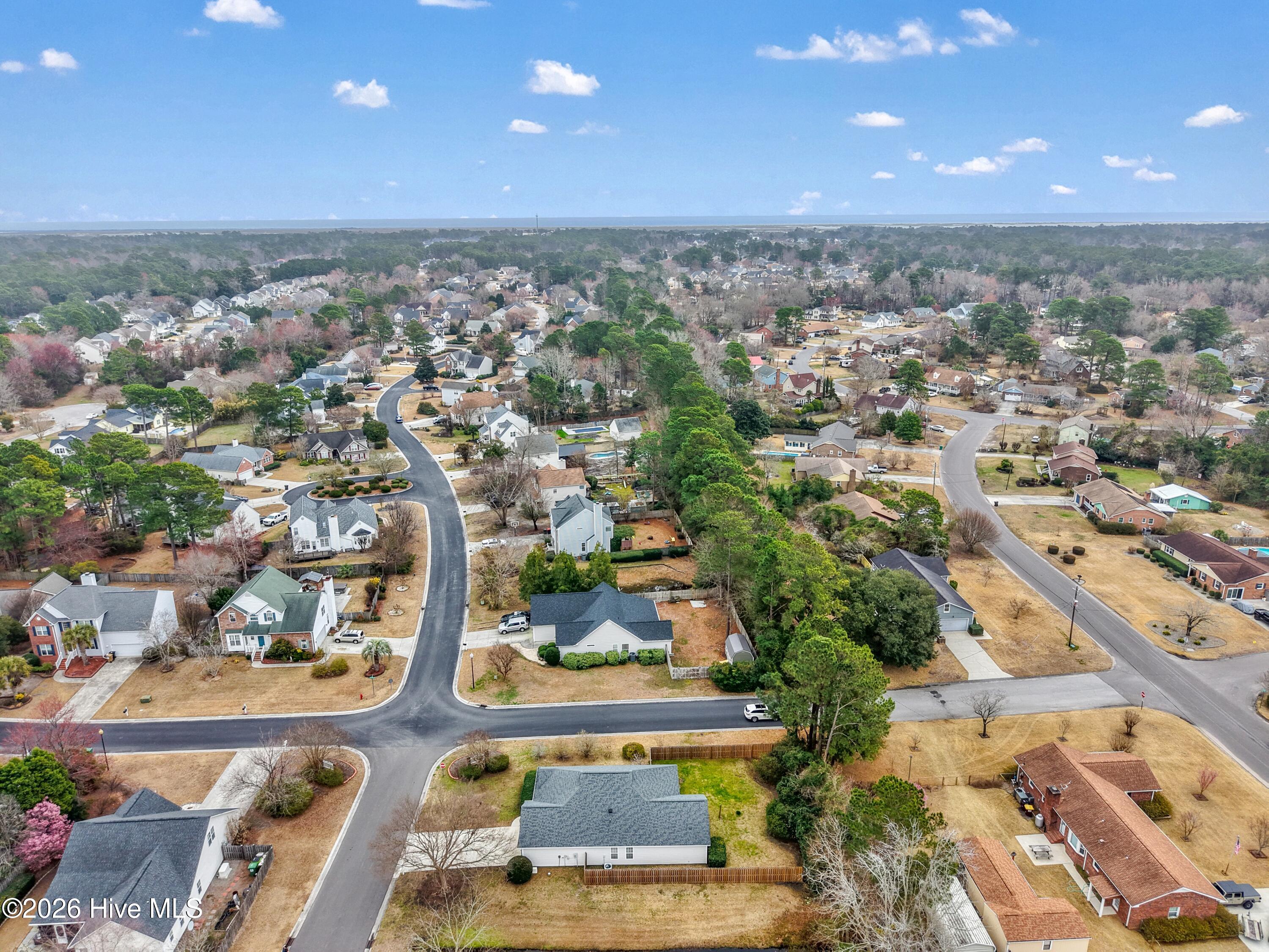 100558212 | Photo 40