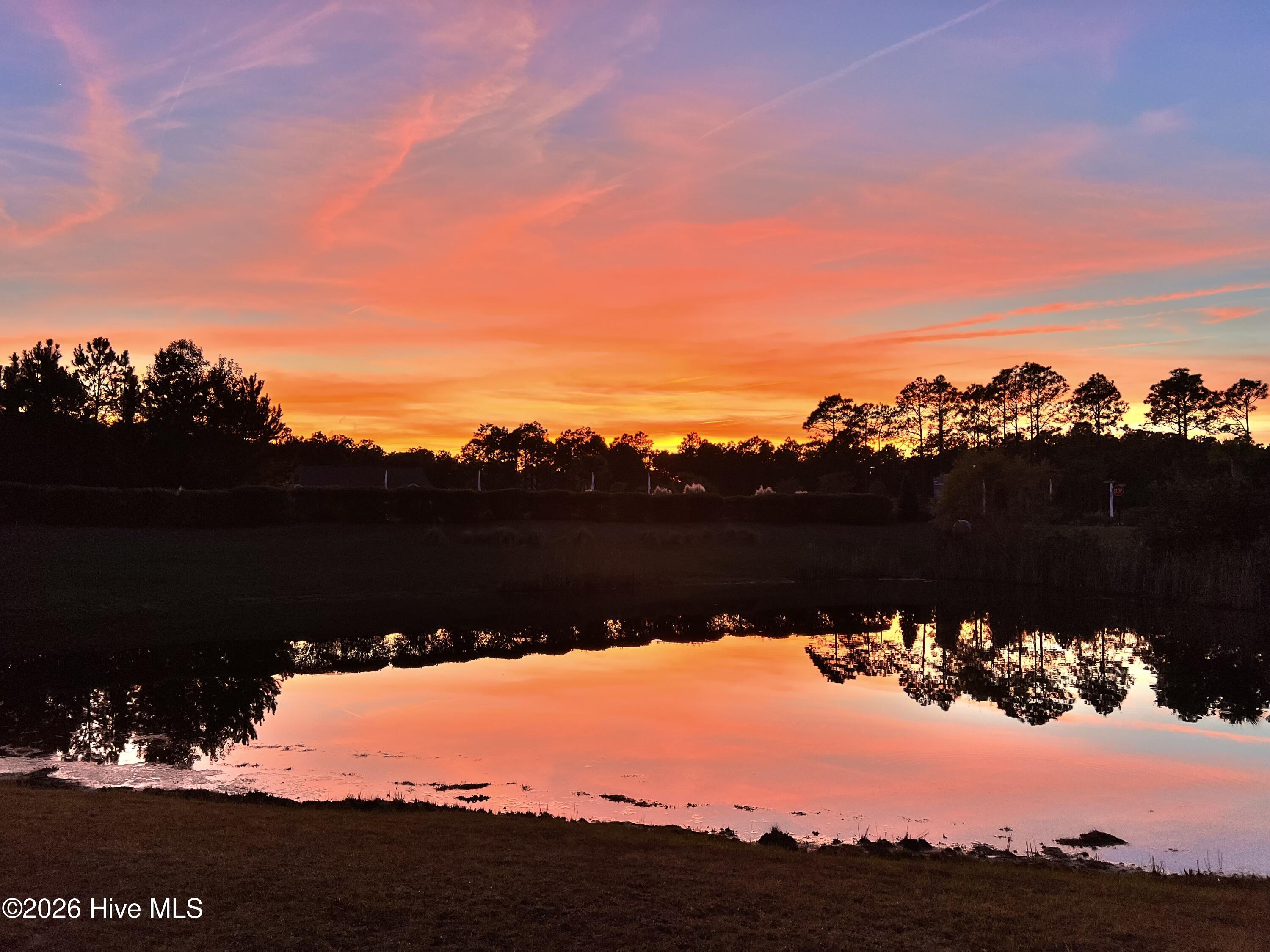 100553635 | Photo 28