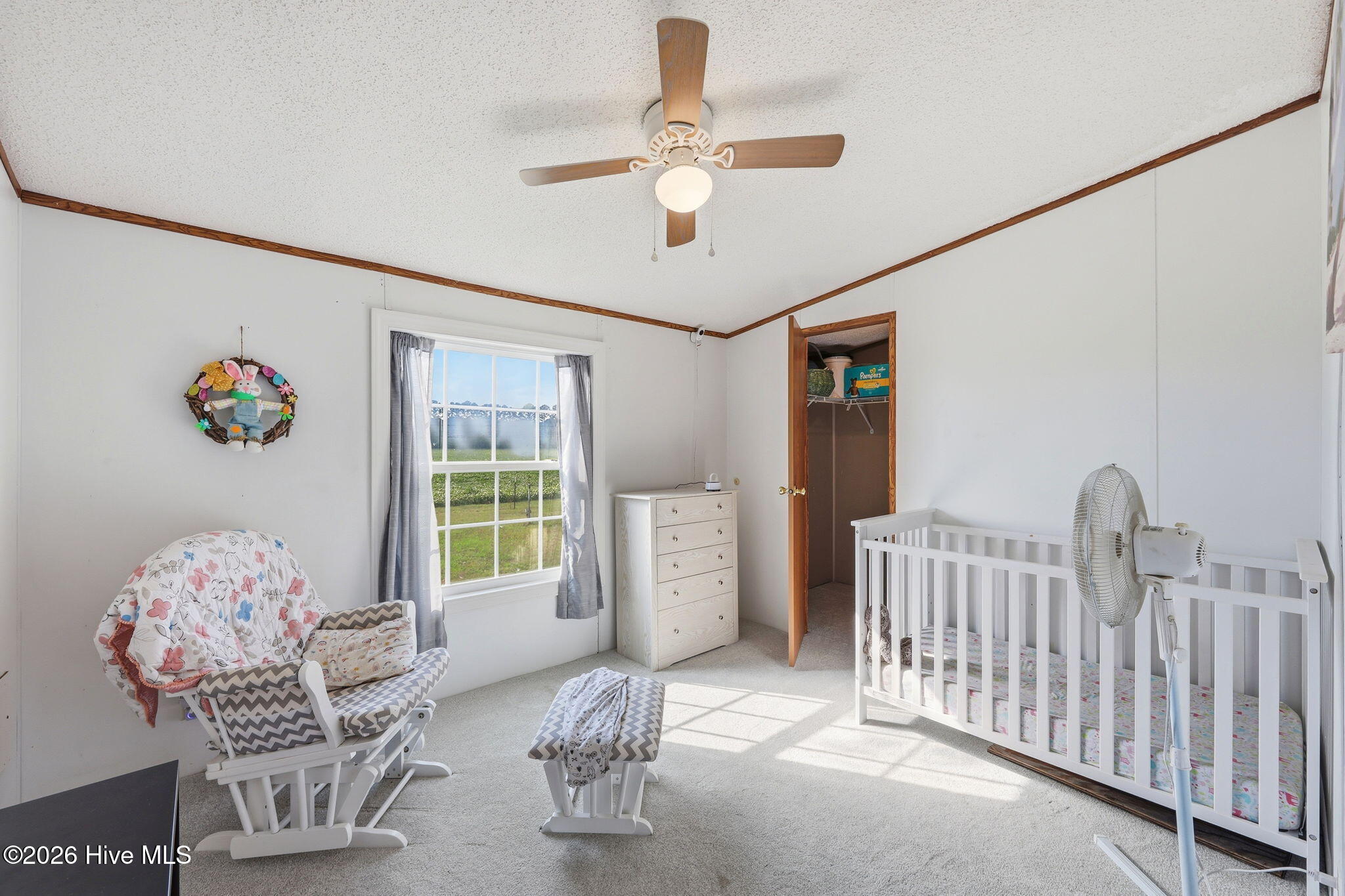 252 Heath Swamp Road,Cove City