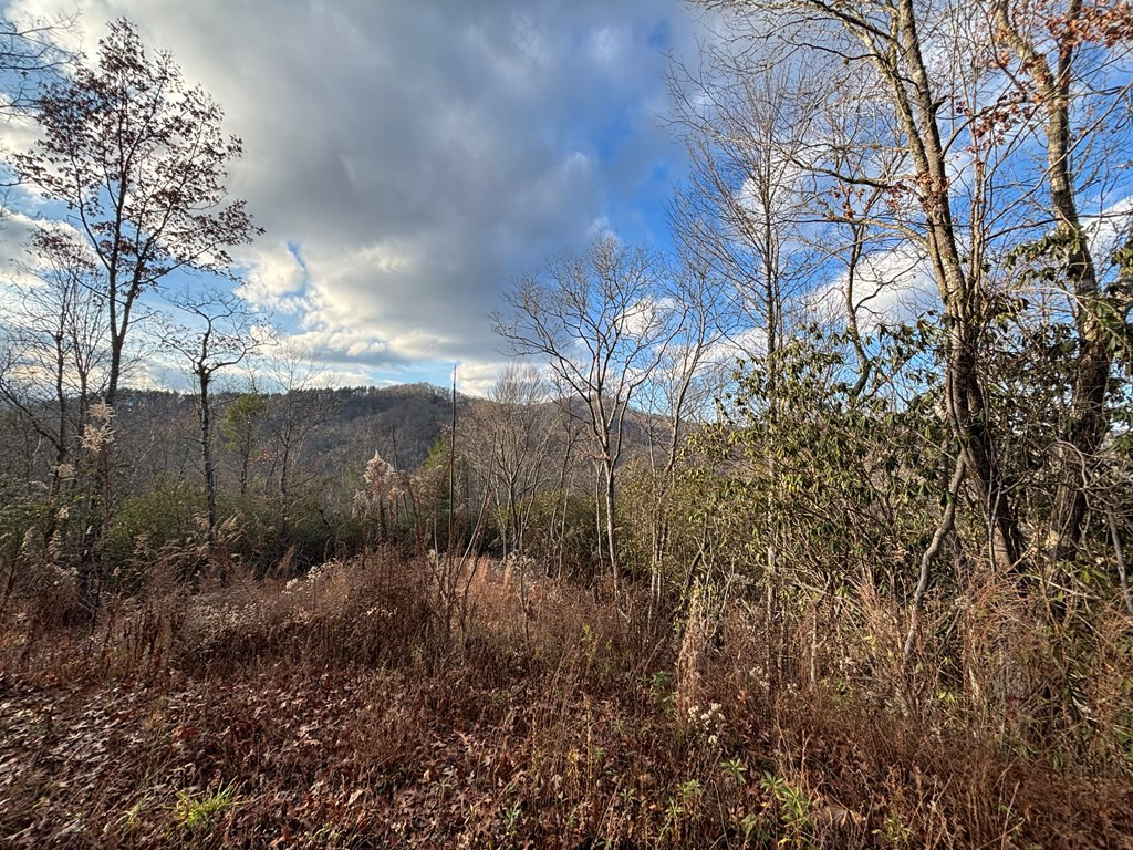 Exterior photo of 2.02 AC Viewforth, Nantahala, NC 28781. MLS: 98524278